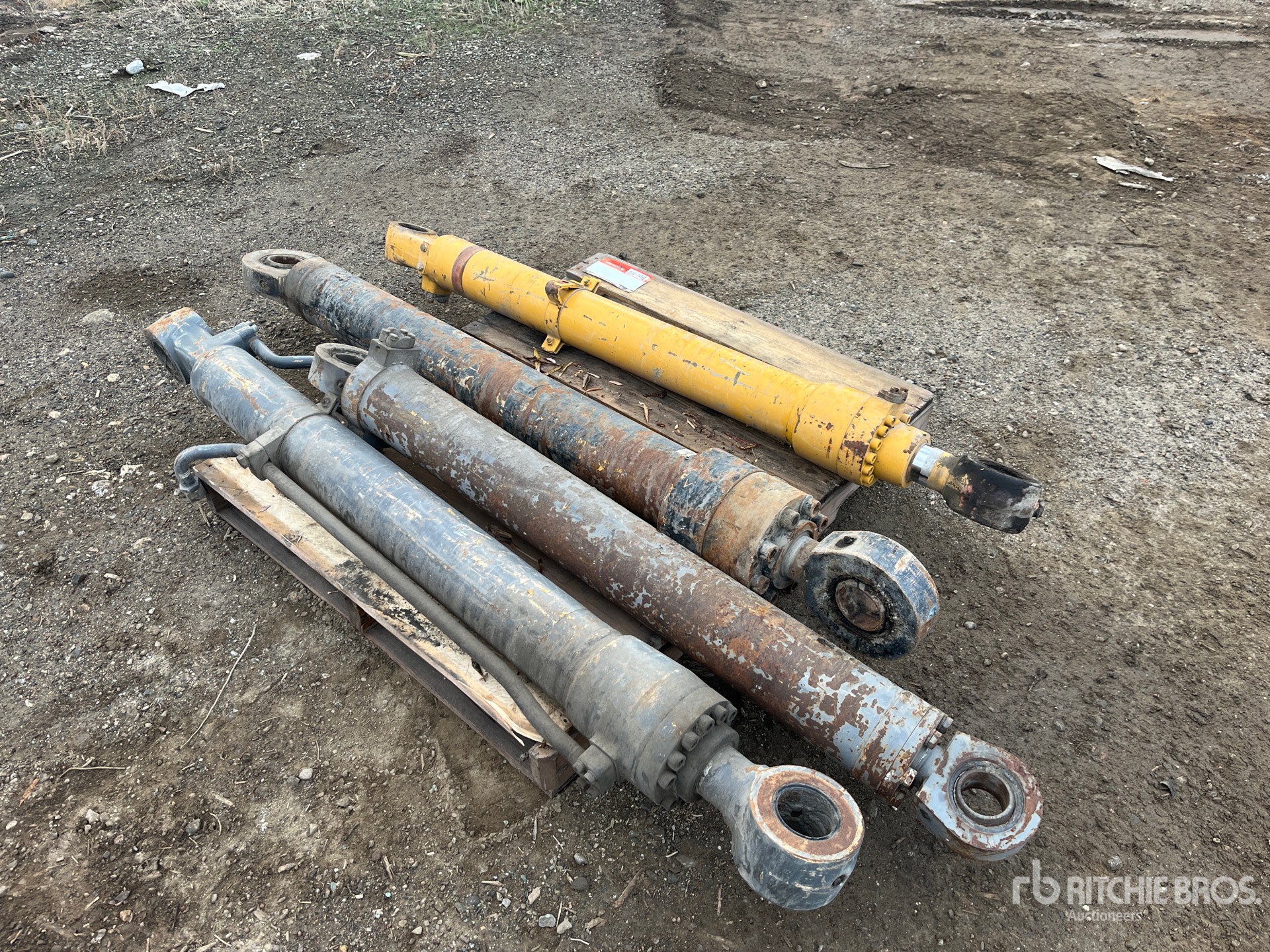 General Appearance with Foto, angolo anteriore sinistro