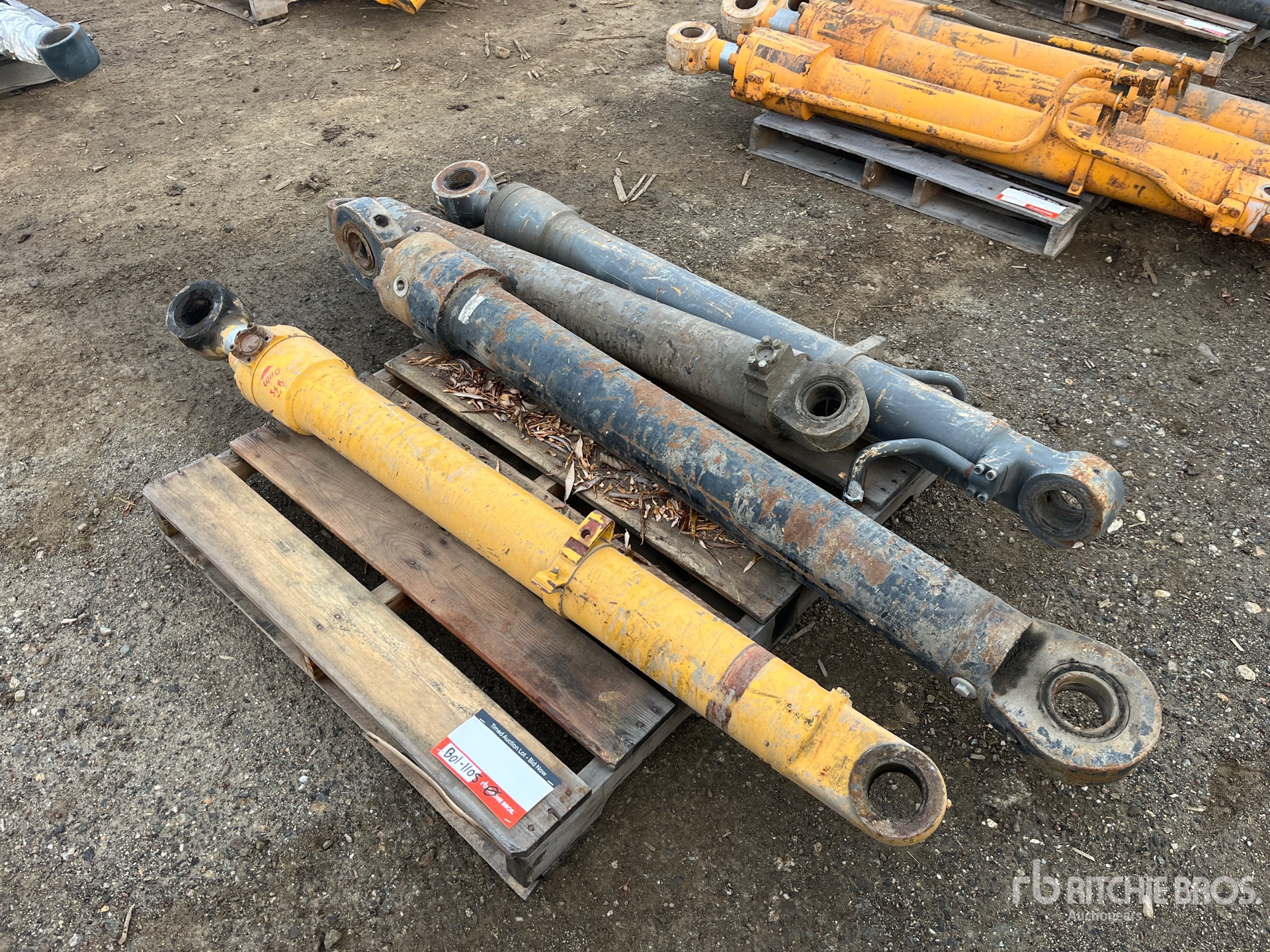 General Appearance with Foto, angolo anteriore sinistro