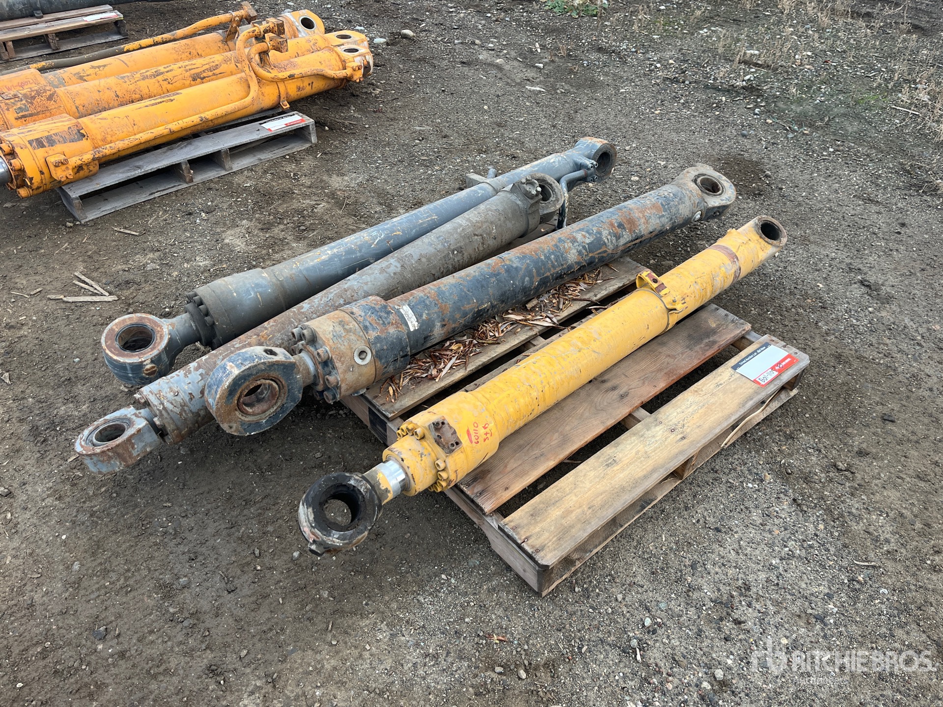 General Appearance with Foto, angolo anteriore destro