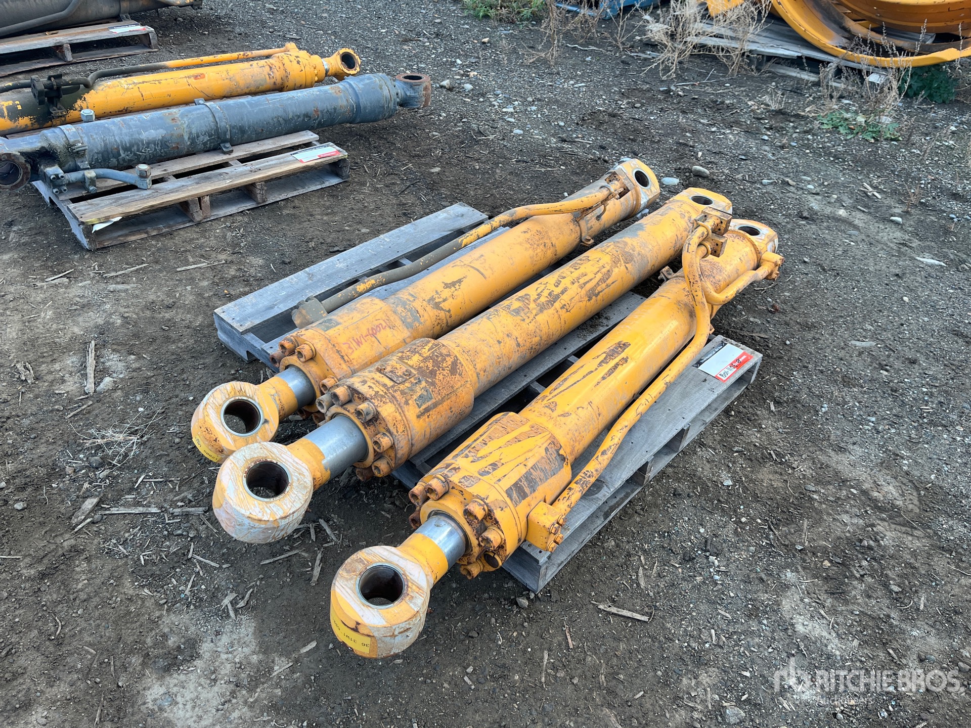 General Appearance with Foto, angolo anteriore destro