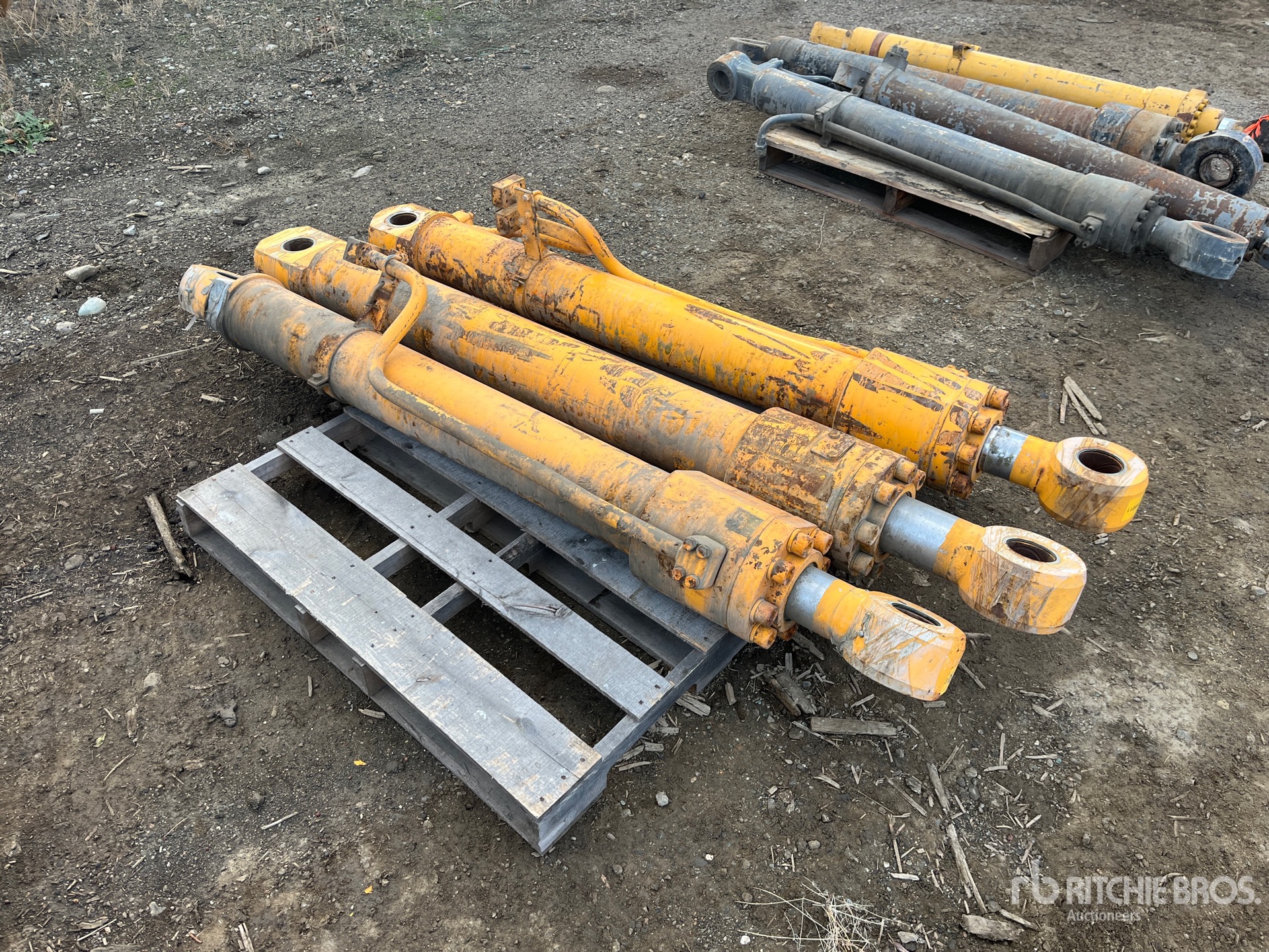 General Appearance with Foto, angolo anteriore sinistro