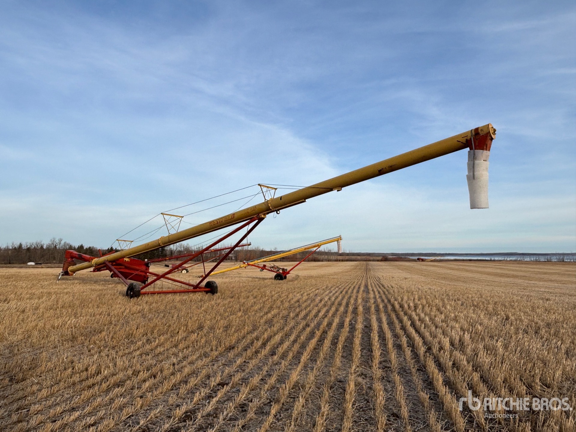 General Appearance with Zdjęcie, lewy dolny róg
