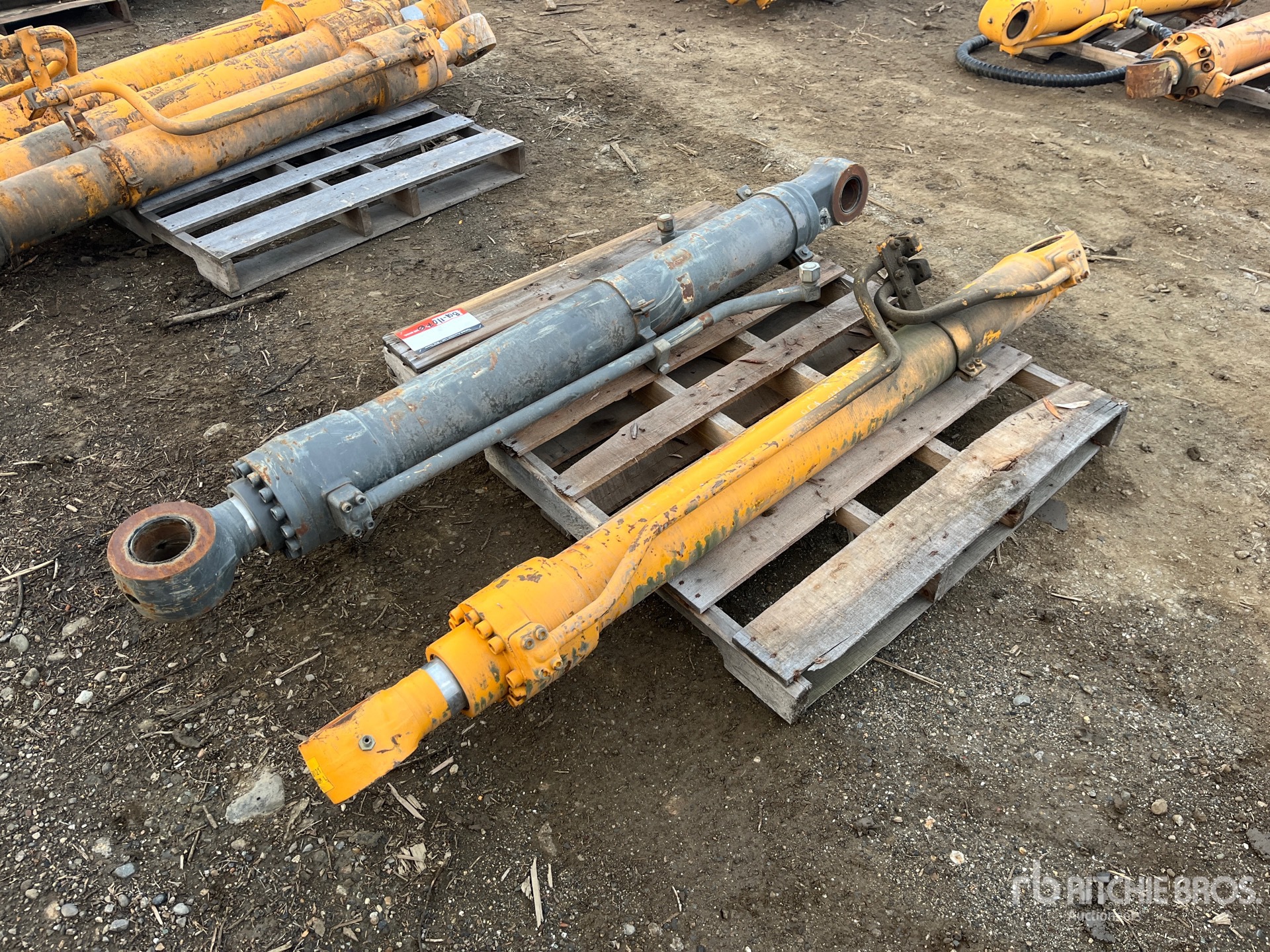 General Appearance with Foto, angolo posteriore sinistro