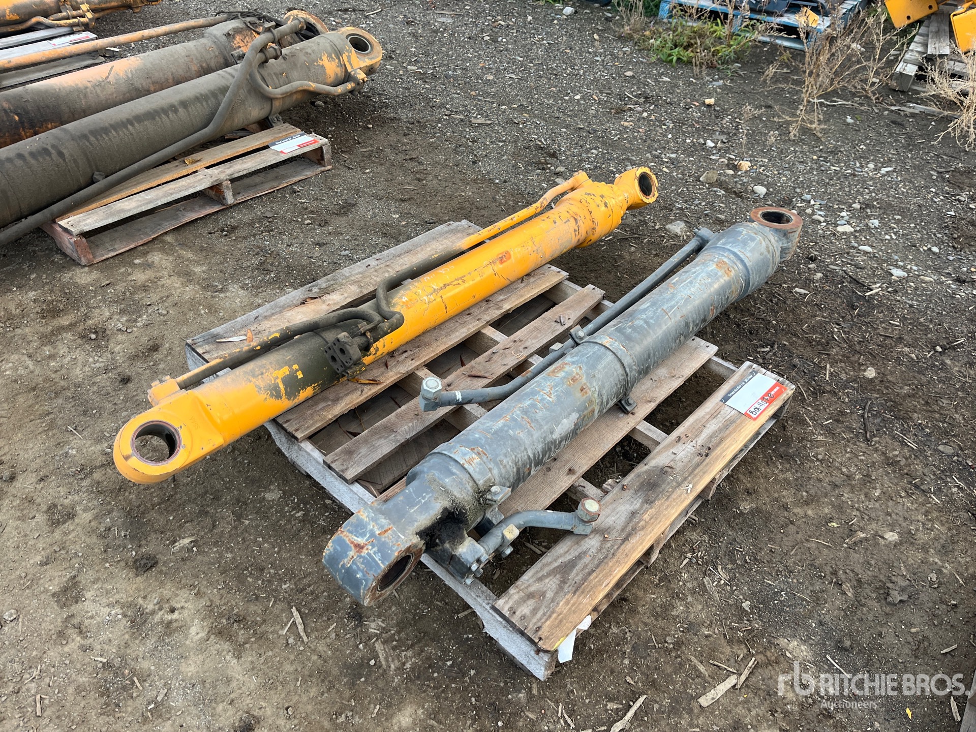 General Appearance with Foto, angolo anteriore destro