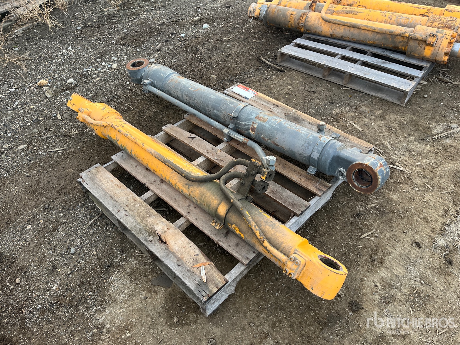 General Appearance with Foto, angolo anteriore sinistro