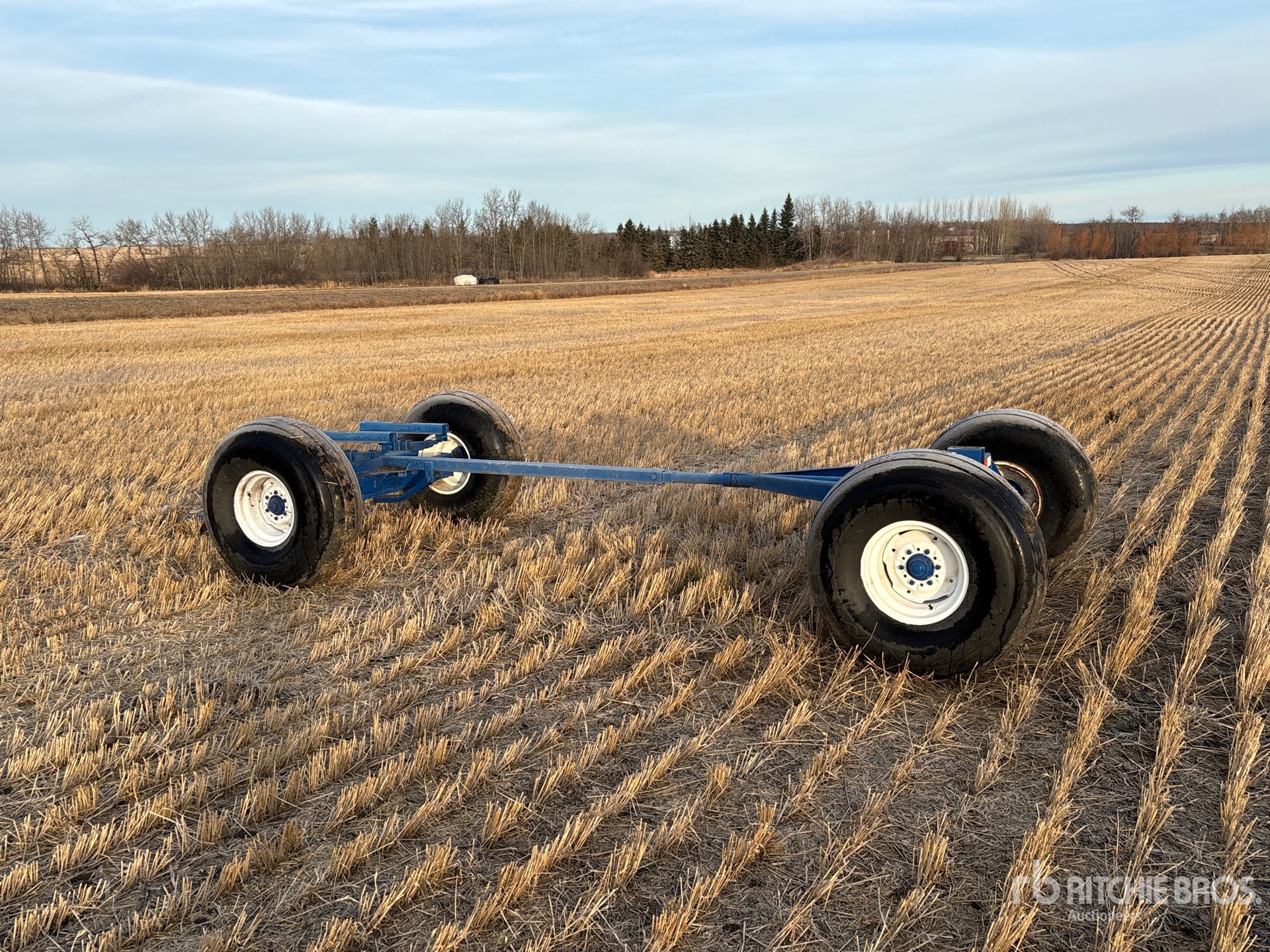 General Appearance with Imagen: esquina trasera izquierda