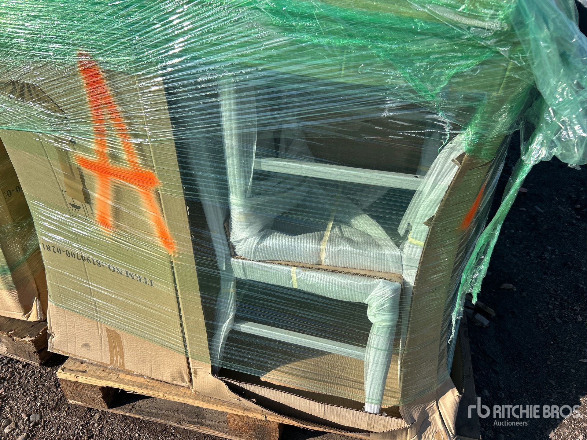 General Appearance with 