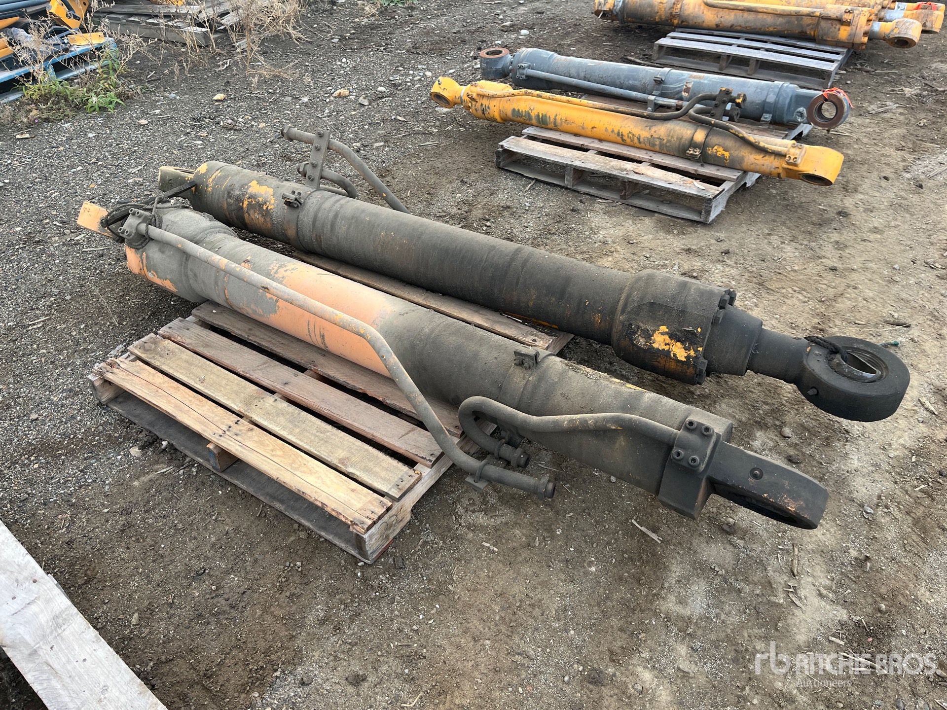 General Appearance with Foto, angolo anteriore sinistro