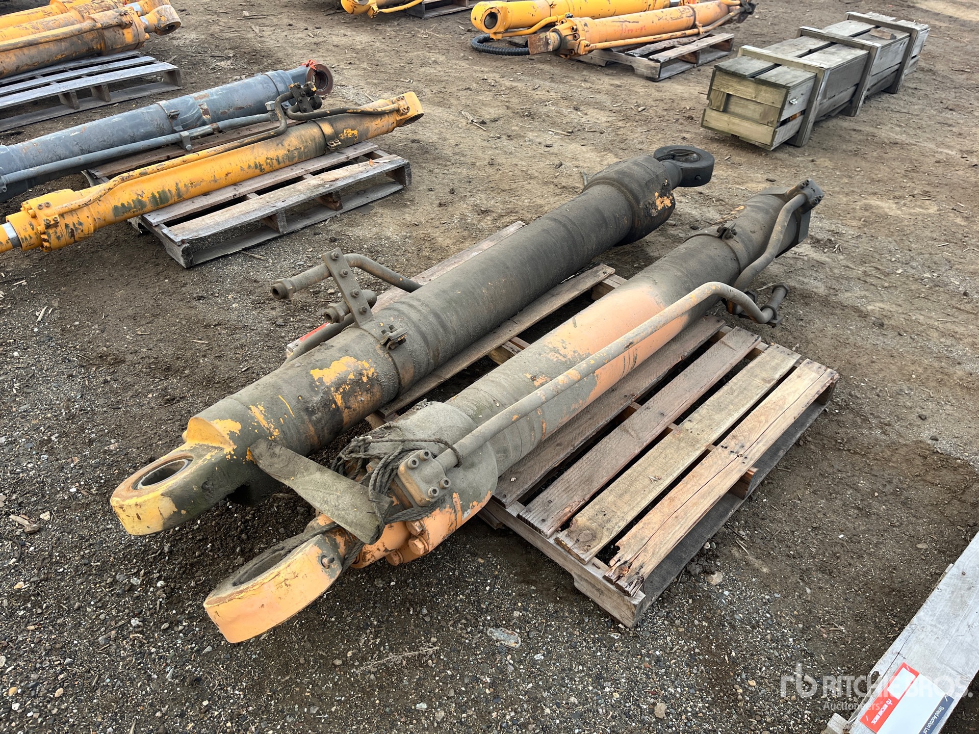 General Appearance with Foto, angolo posteriore sinistro