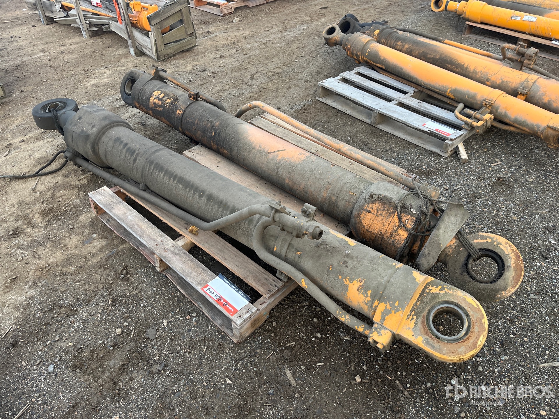 General Appearance with Foto, angolo anteriore sinistro