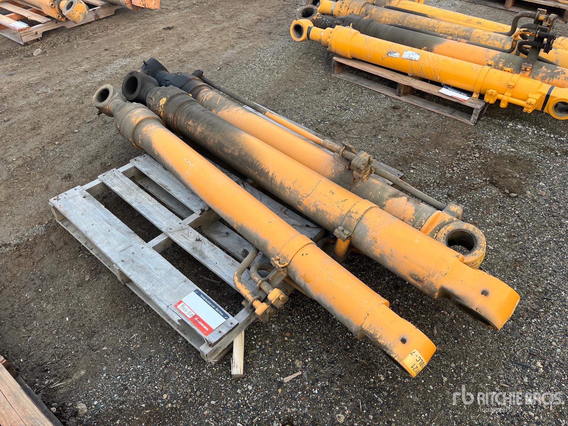 General Appearance with Foto, angolo anteriore sinistro