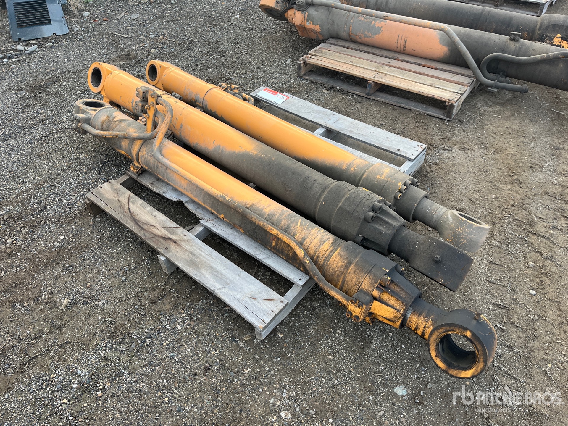 General Appearance with Foto, angolo anteriore sinistro