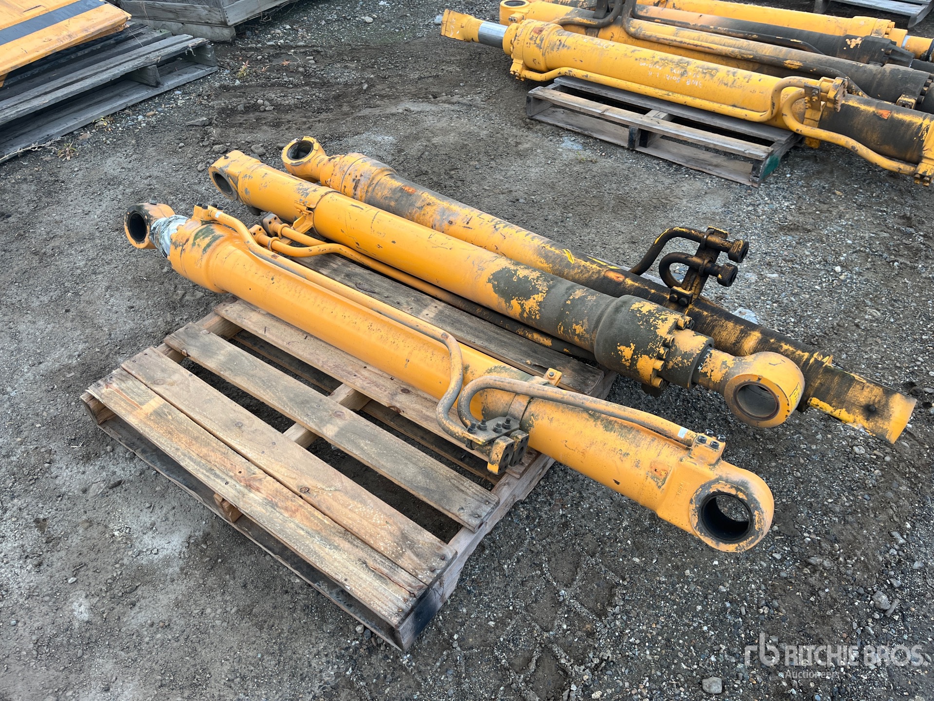 General Appearance with Foto, angolo anteriore sinistro