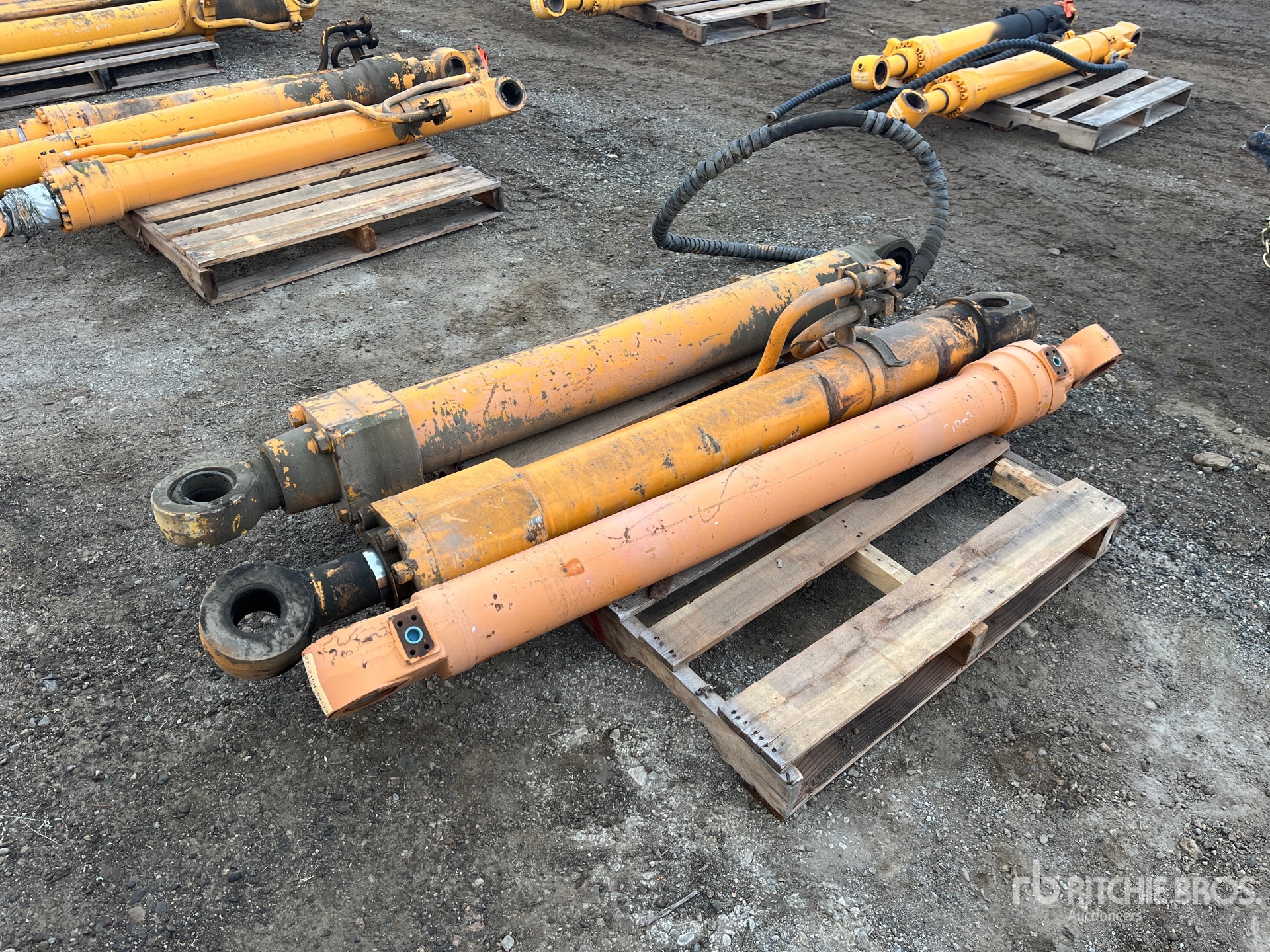 General Appearance with Foto, angolo posteriore sinistro