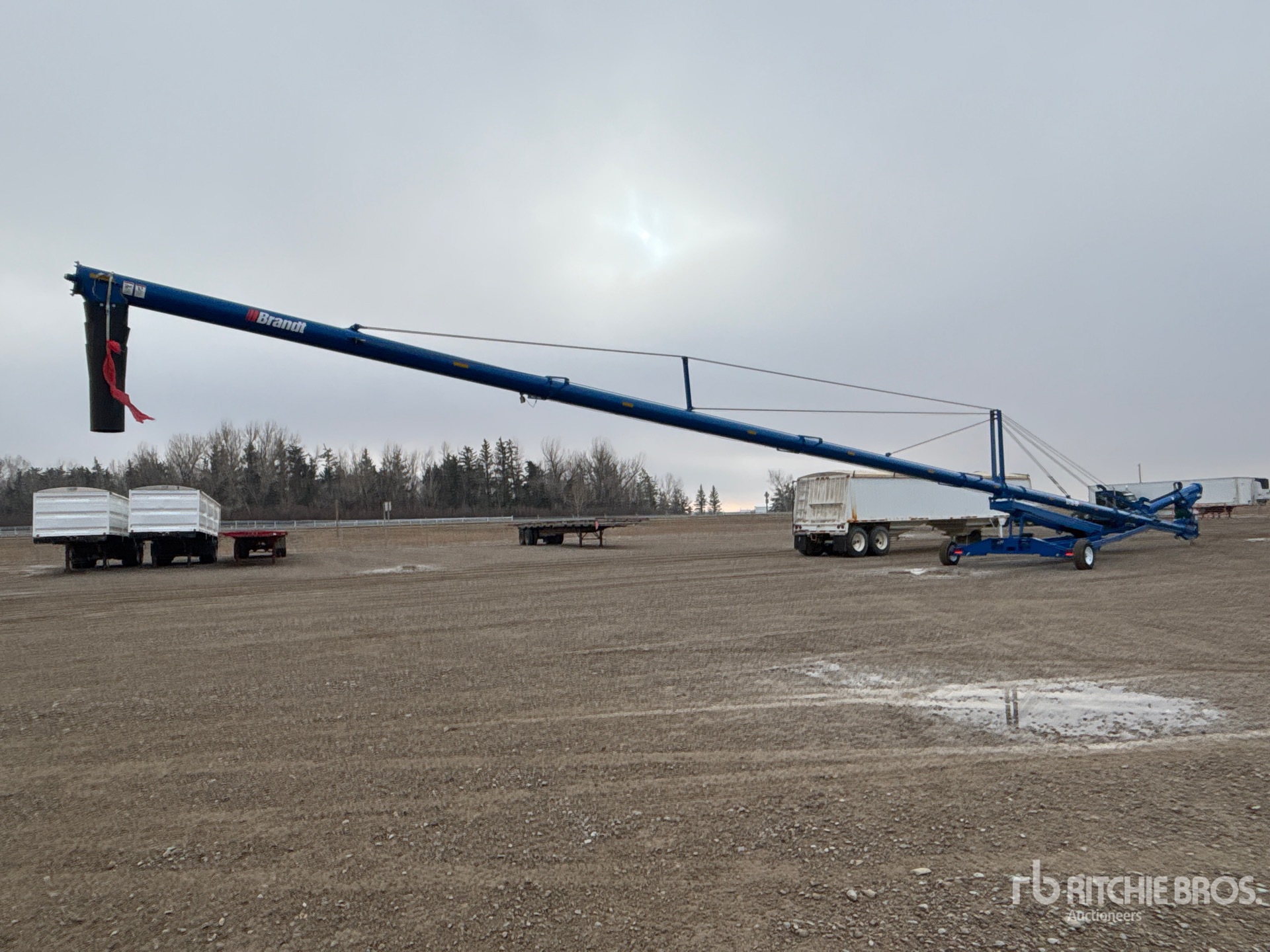 General Appearance with Foto, angolo anteriore sinistro