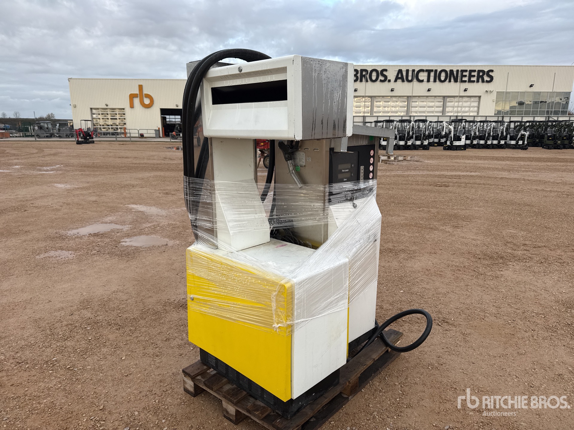 General Appearance with