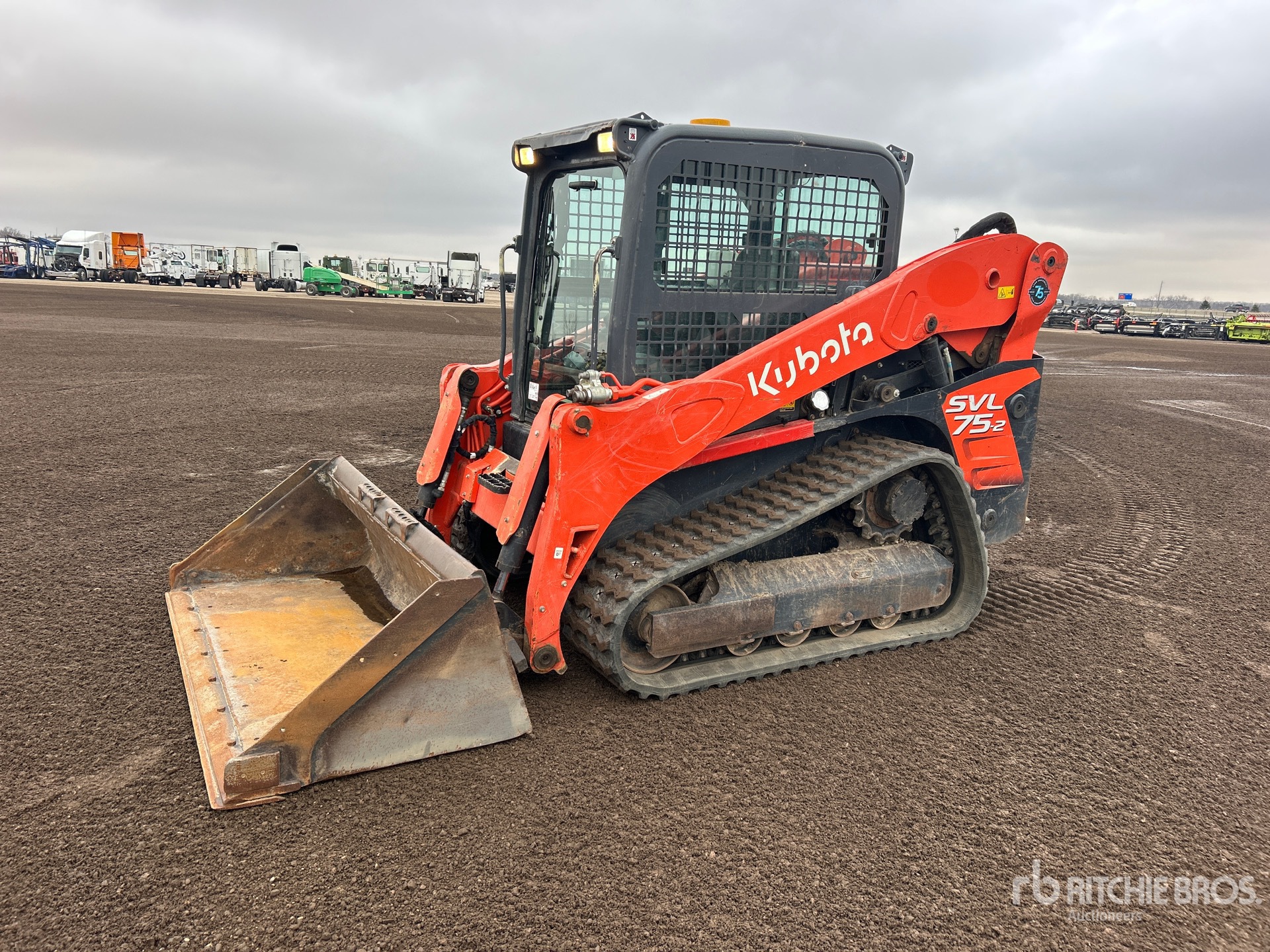 General Appearance with Spin