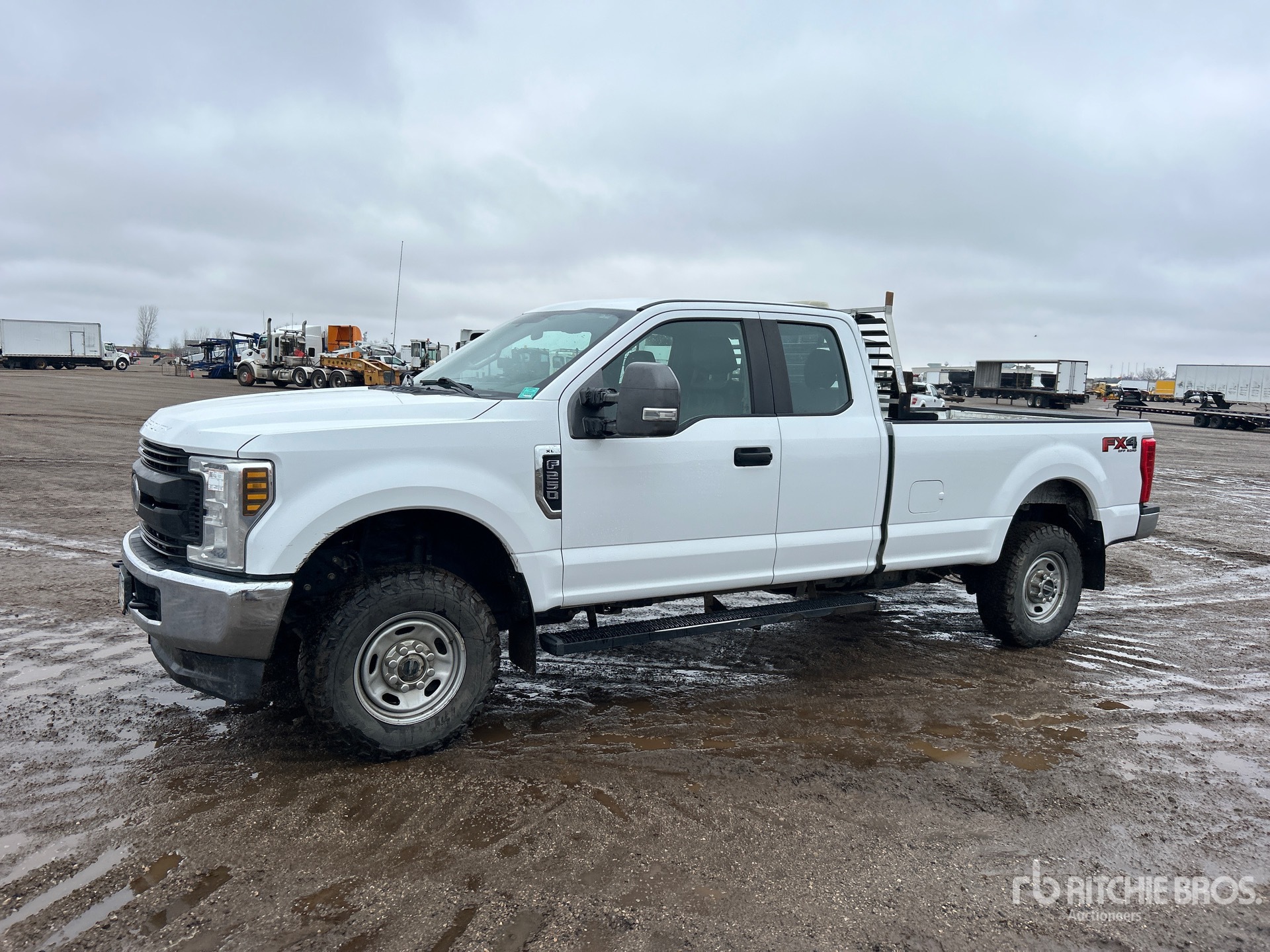 General Appearance with Spin