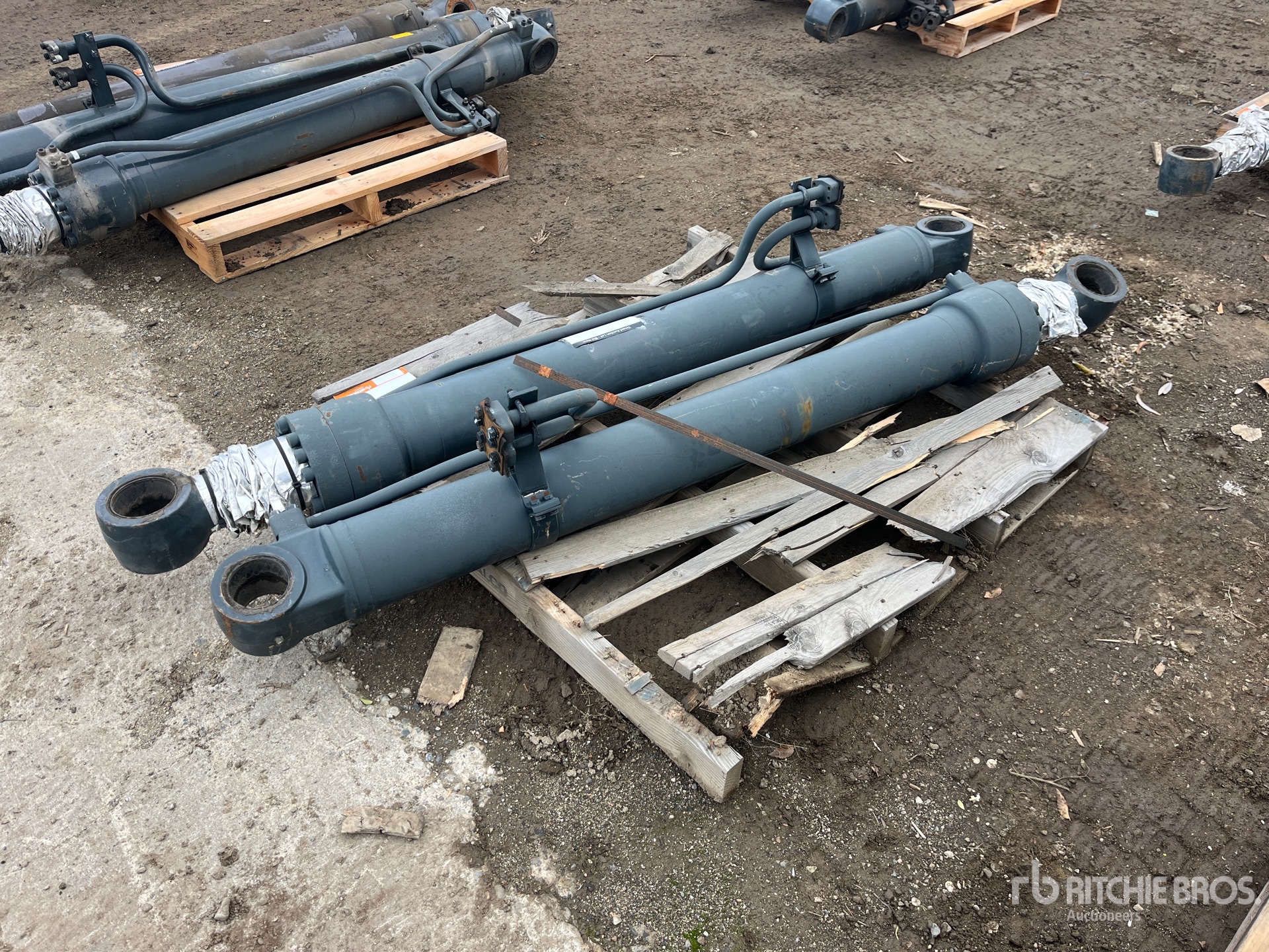 General Appearance with Bild, Ecke hinten links