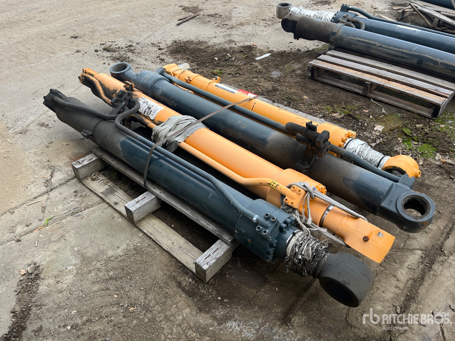 General Appearance with Foto, angolo anteriore sinistro