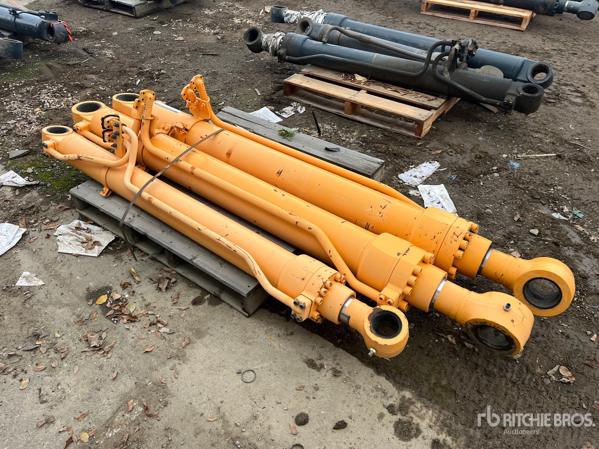 General Appearance with Bild, Ecke hinten rechts