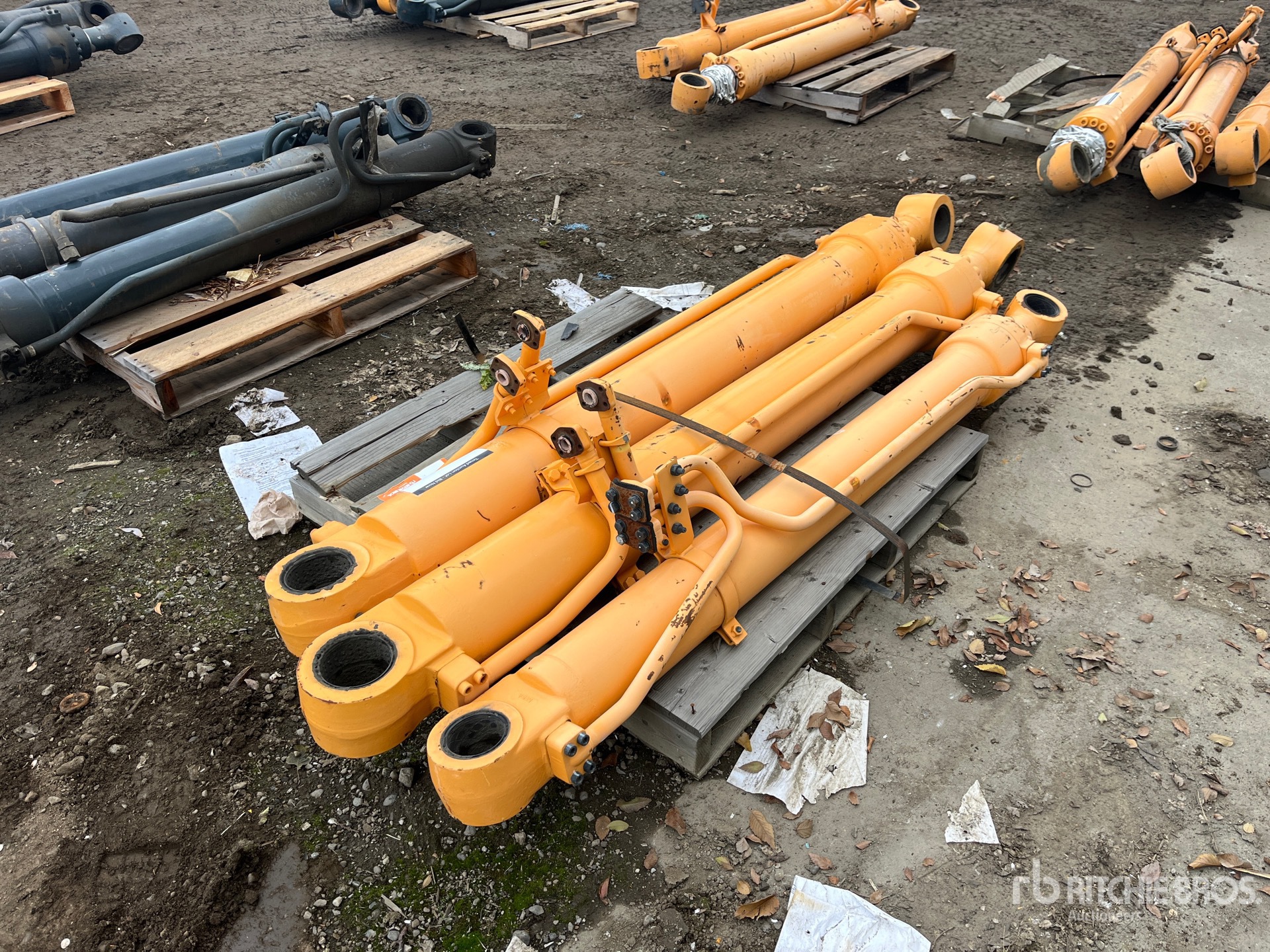 General Appearance with Bild, Ecke hinten links