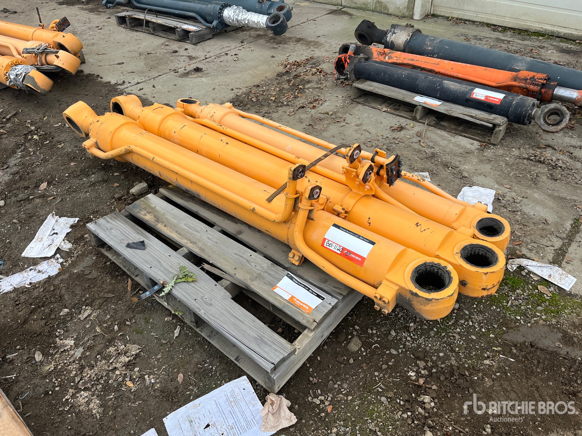 General Appearance with Bild, Ecke vorne links