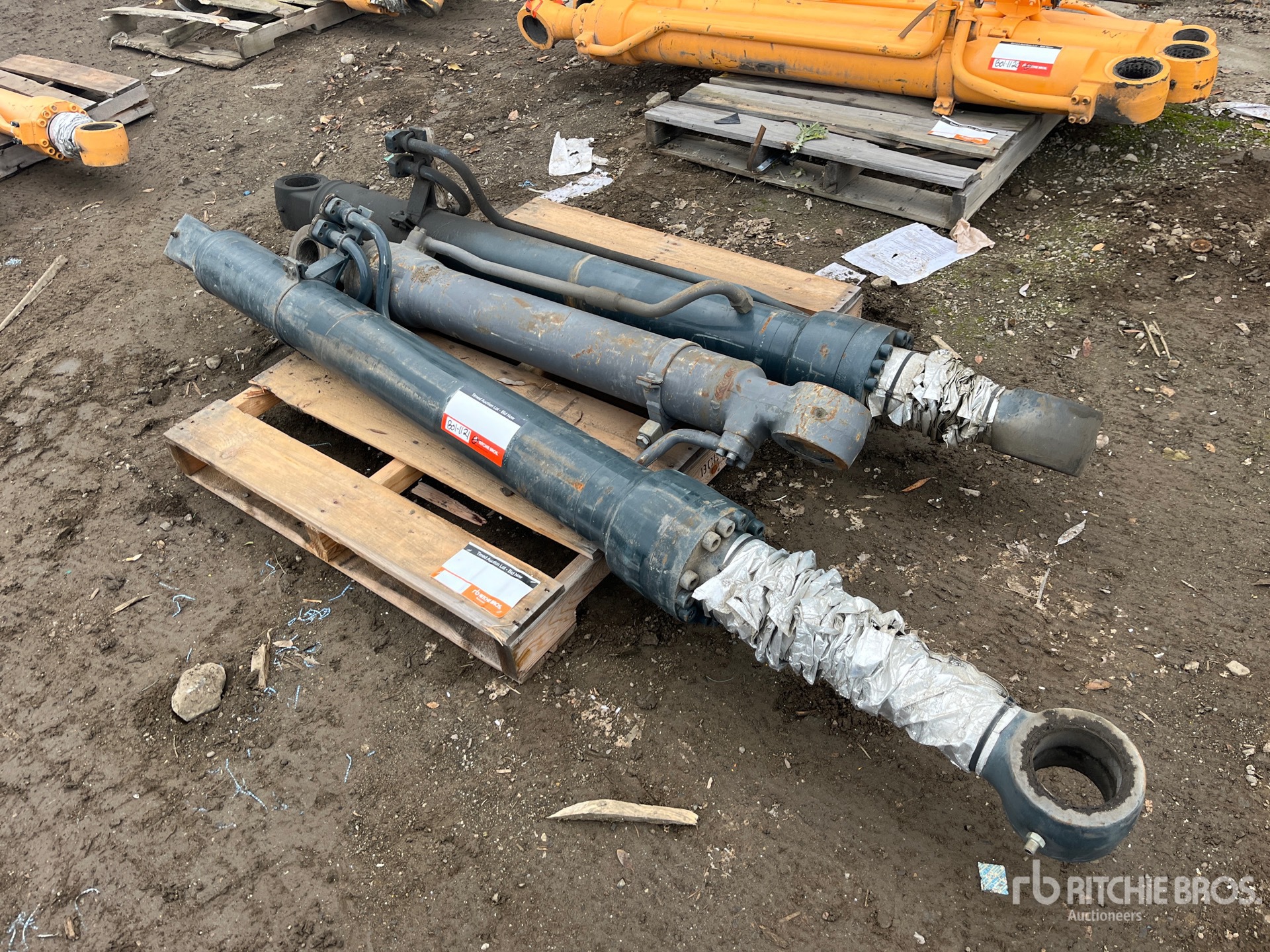 General Appearance with Bild, Ecke vorne links