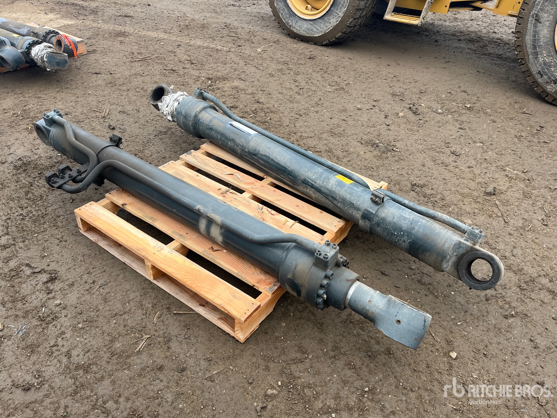 General Appearance with Bild, Ecke hinten rechts