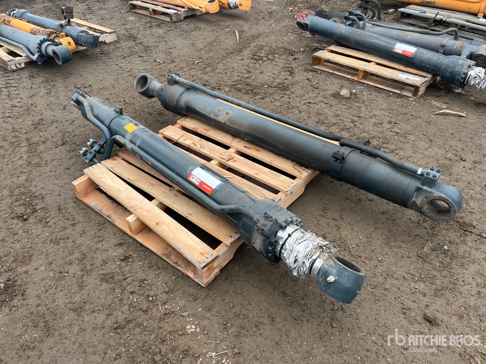 General Appearance with Bild, Ecke vorne links