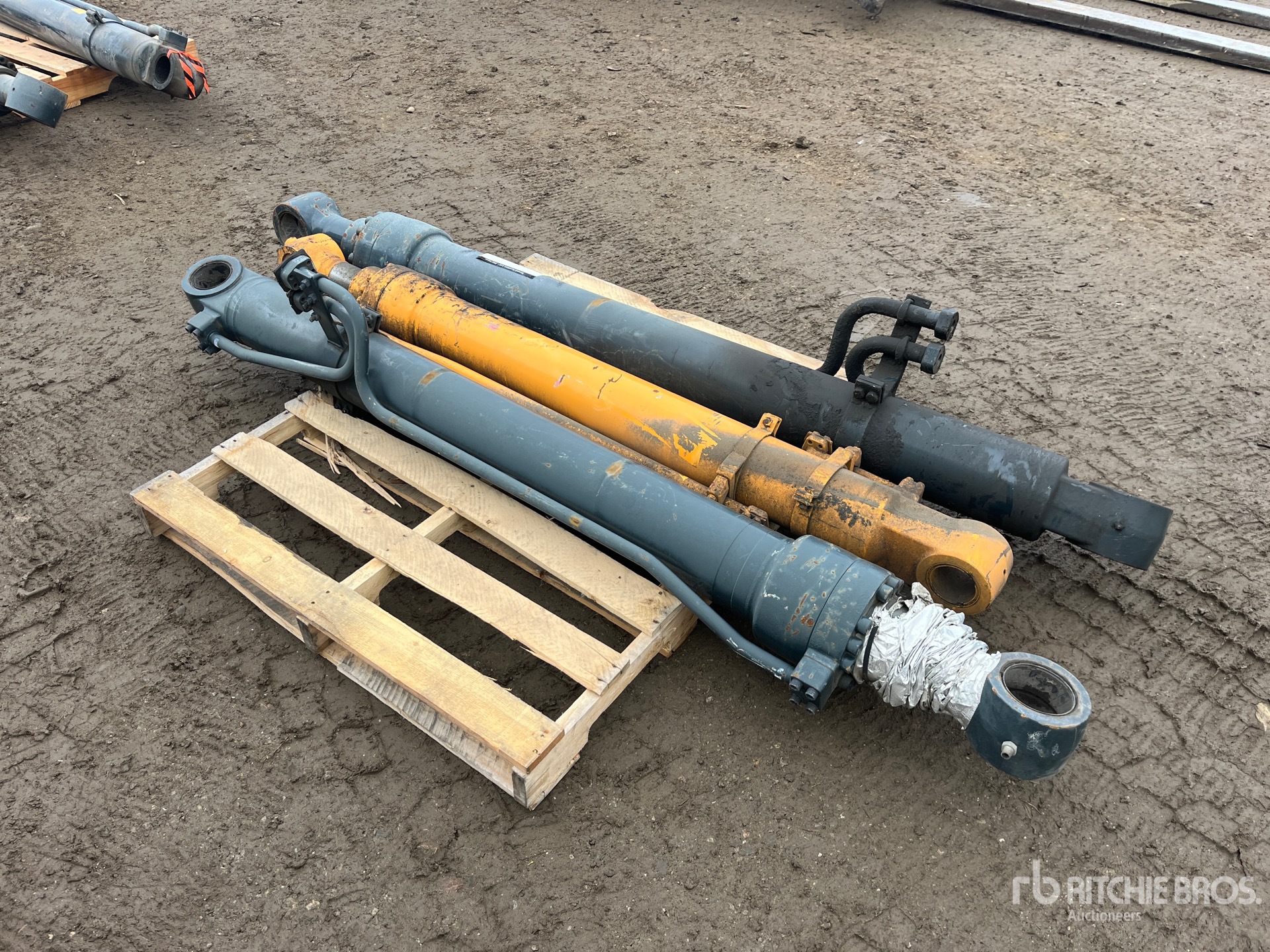 General Appearance with Foto, angolo anteriore sinistro