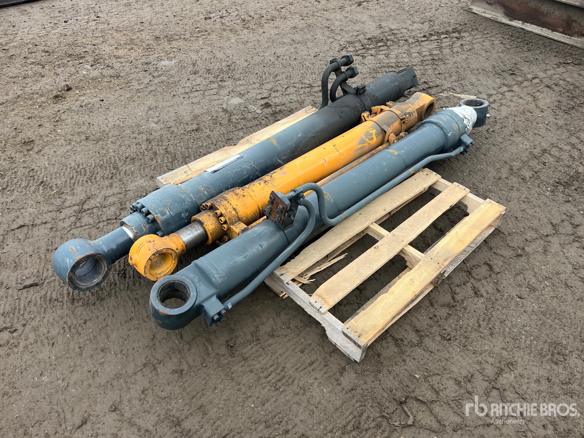 General Appearance with Foto, angolo posteriore sinistro