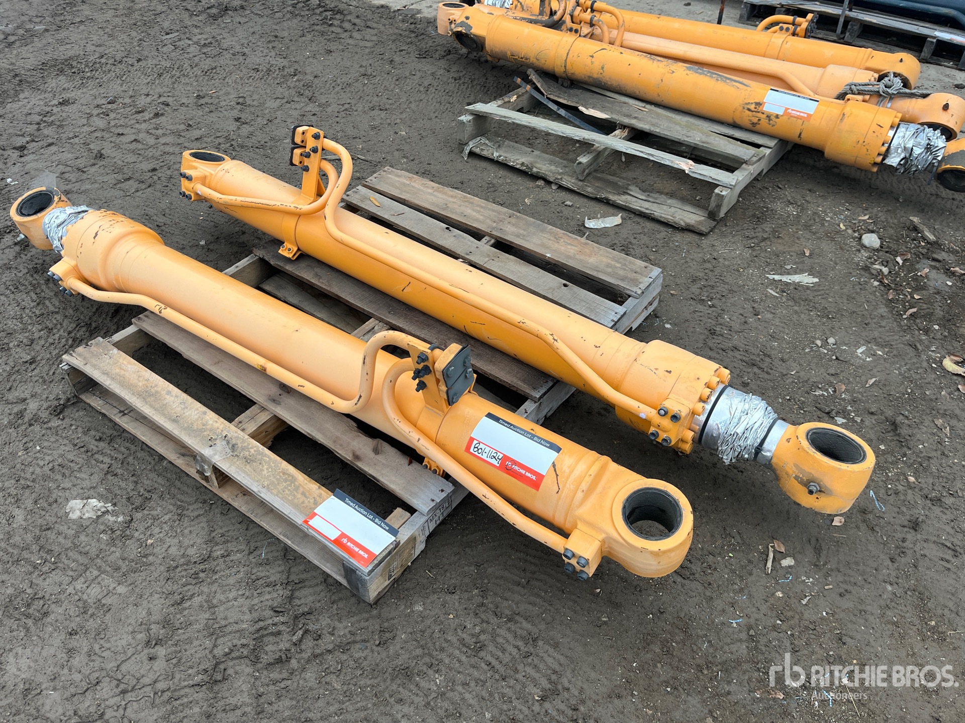 General Appearance with Bild, Ecke vorne links