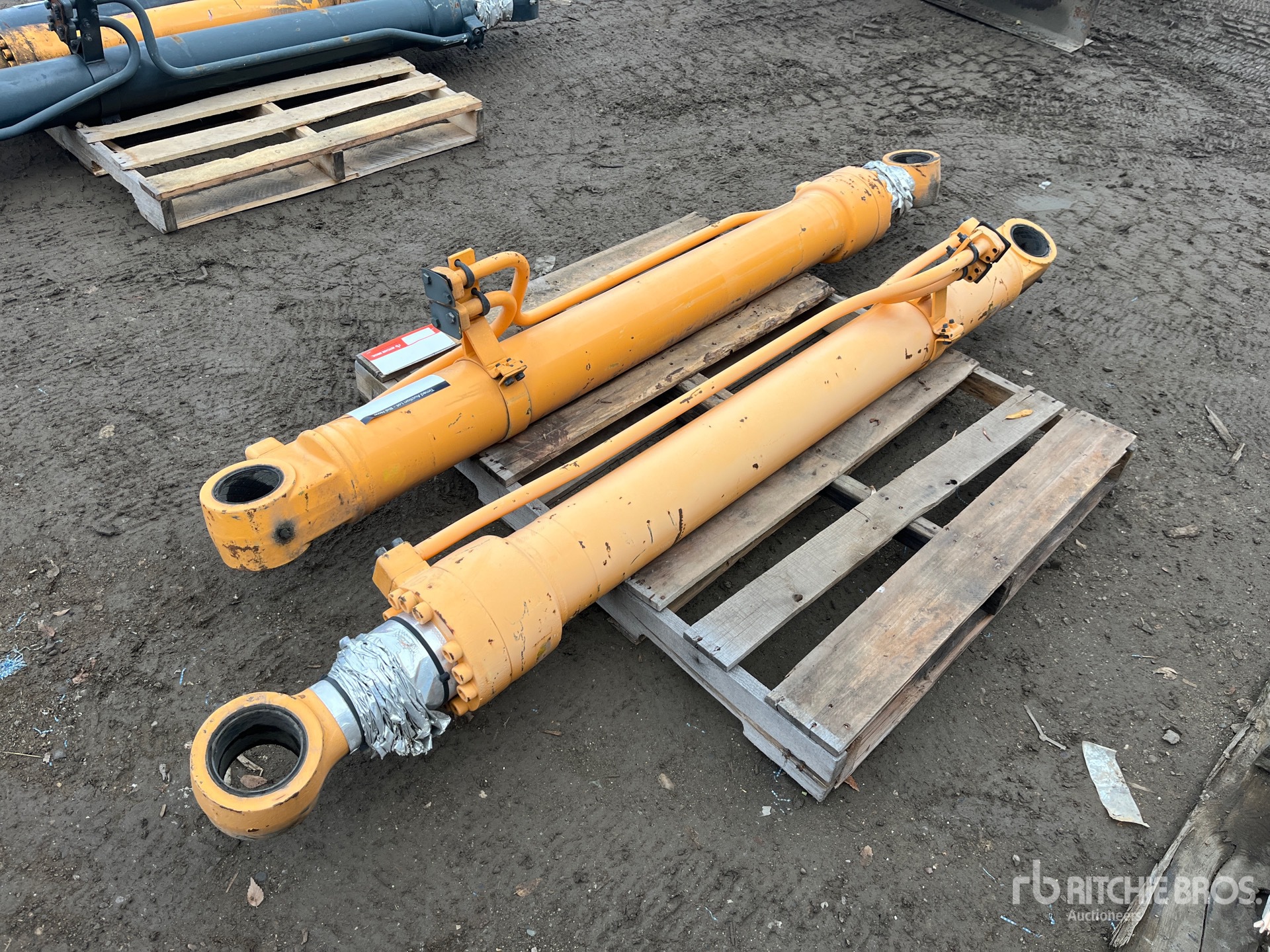 General Appearance with Bild, Ecke hinten links