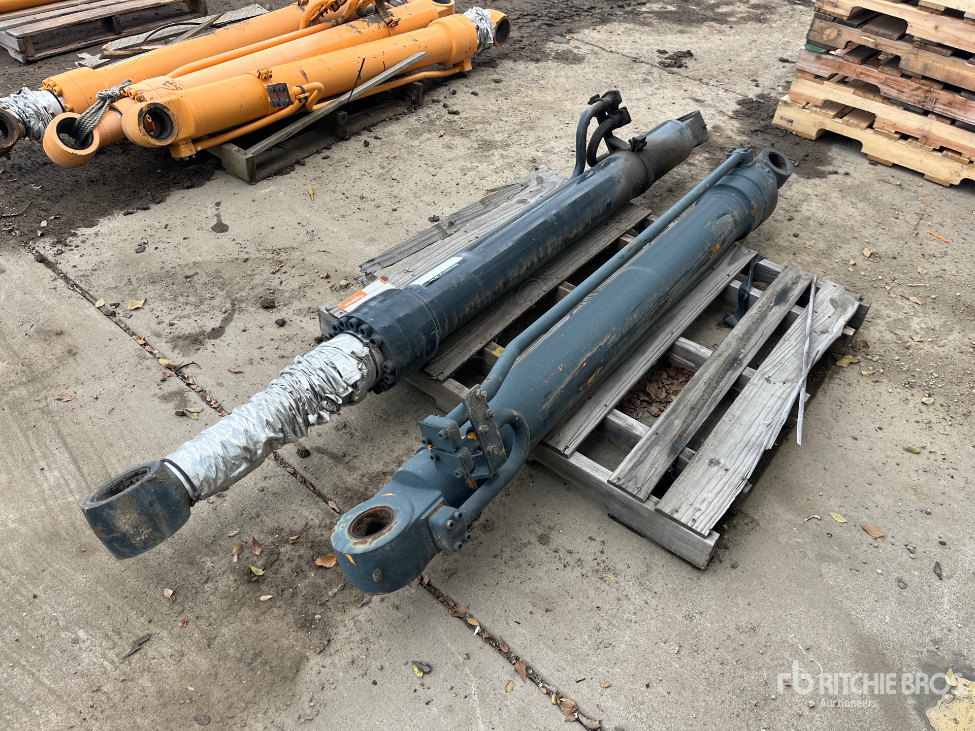 General Appearance with Bild, Ecke hinten links