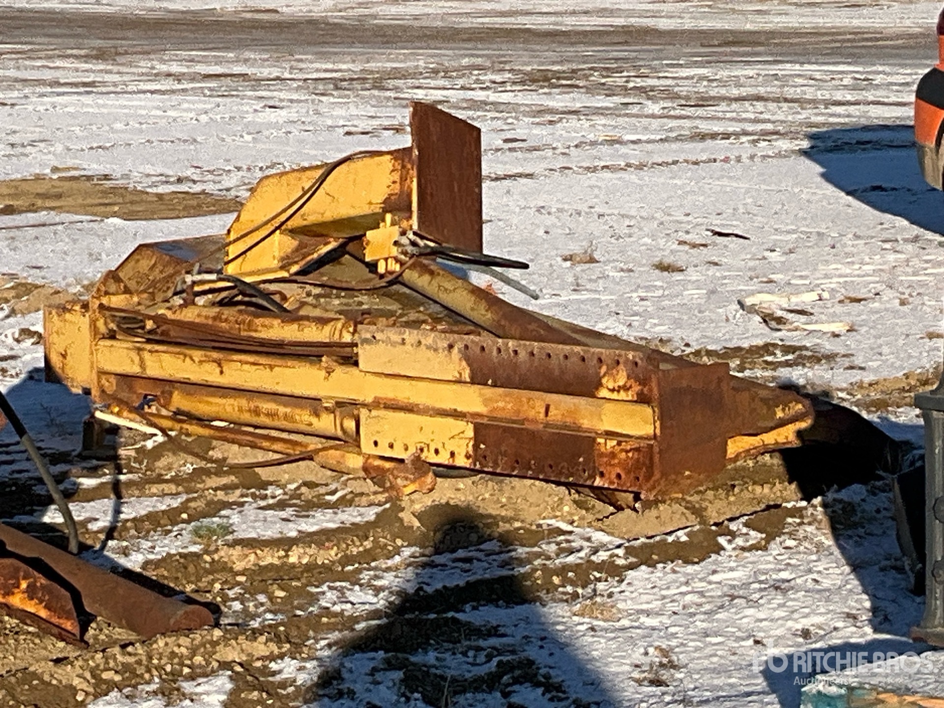 General Appearance with Foto, angolo anteriore sinistro