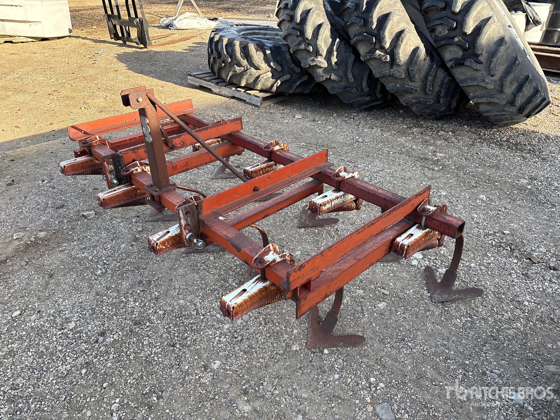 General Appearance with Zdjęcie, lewy górny róg