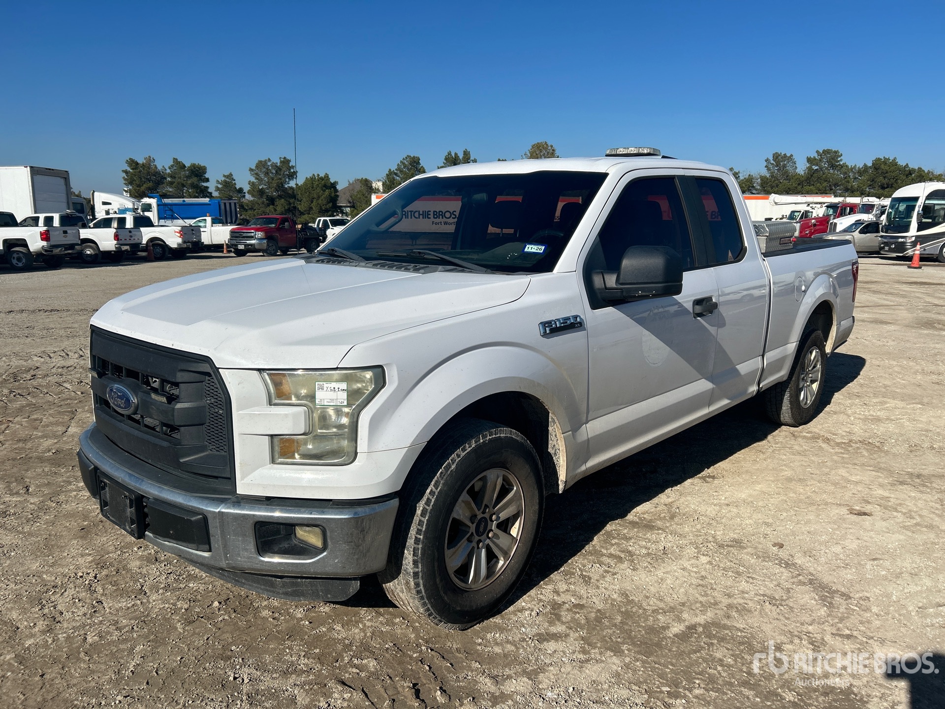 General Appearance with Spin