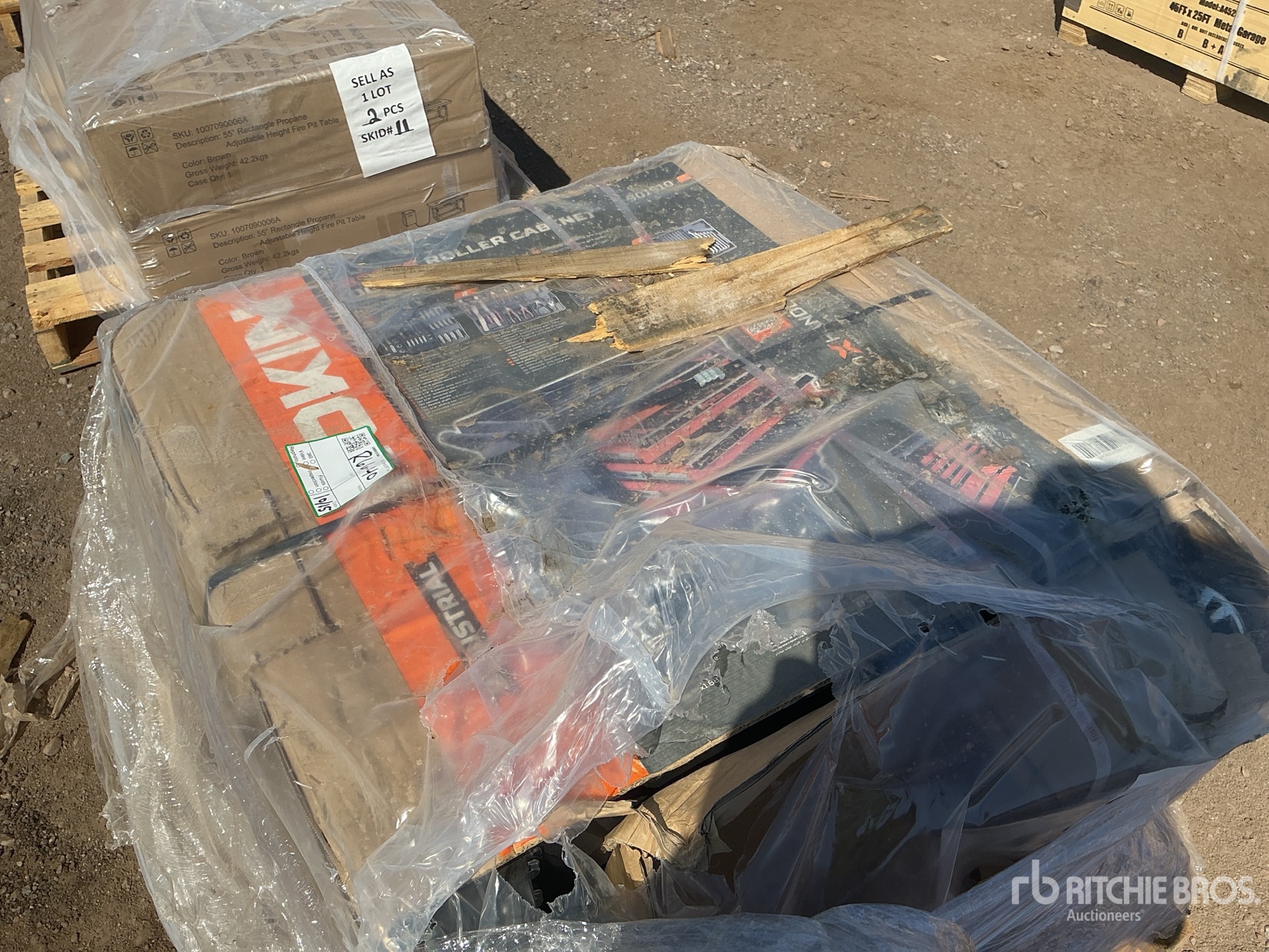 General Appearance with