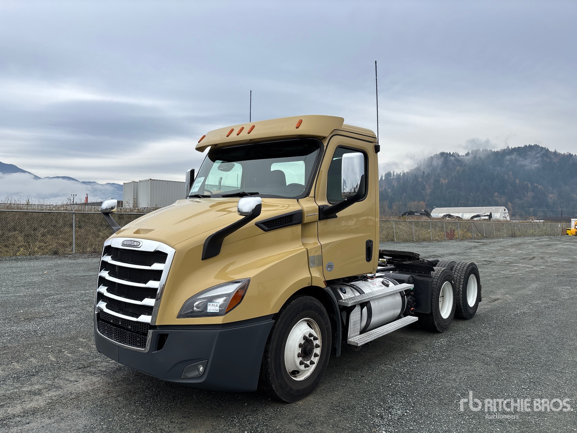 General Appearance with Spin