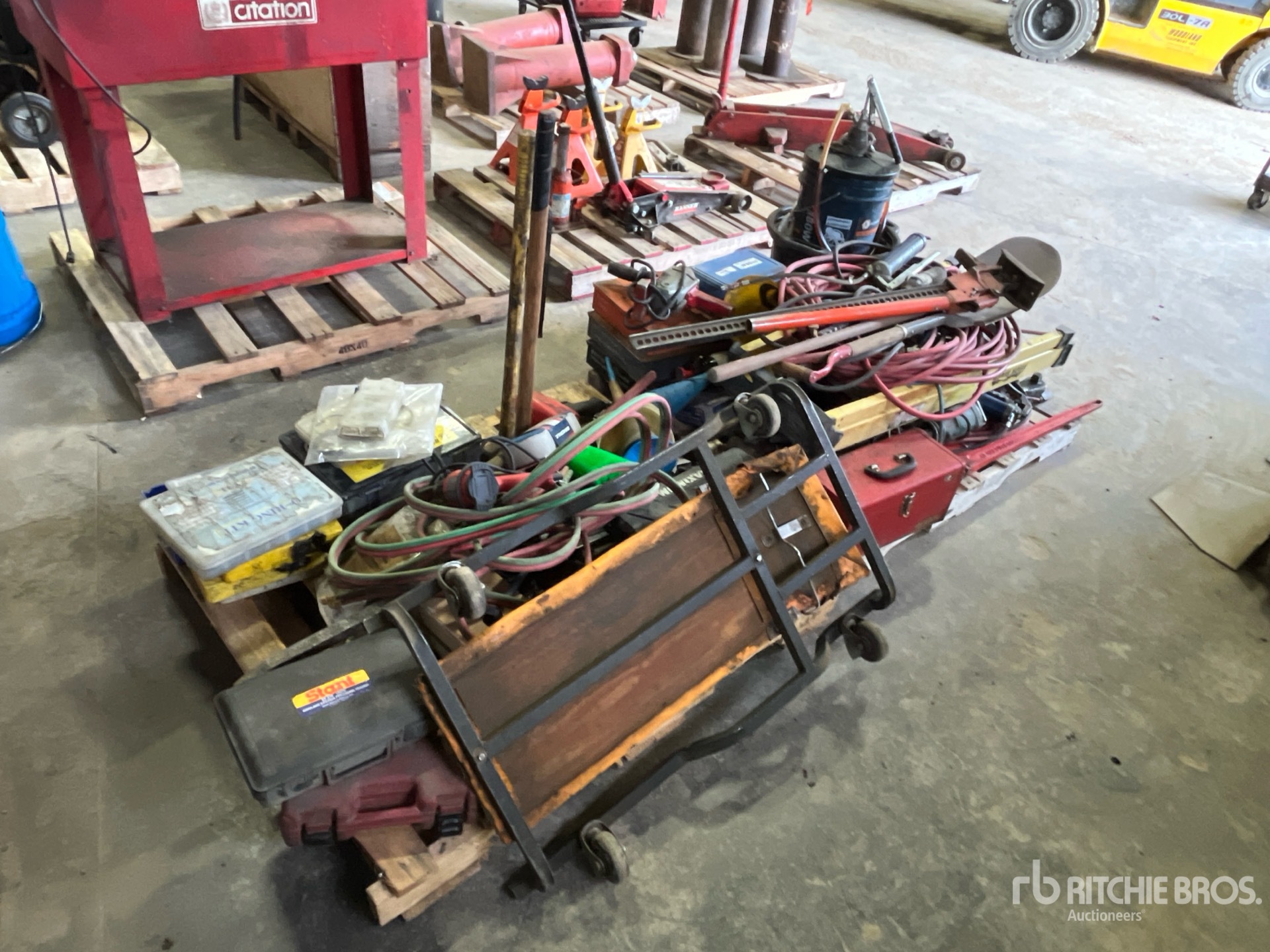 General Appearance with Foto, angolo anteriore sinistro