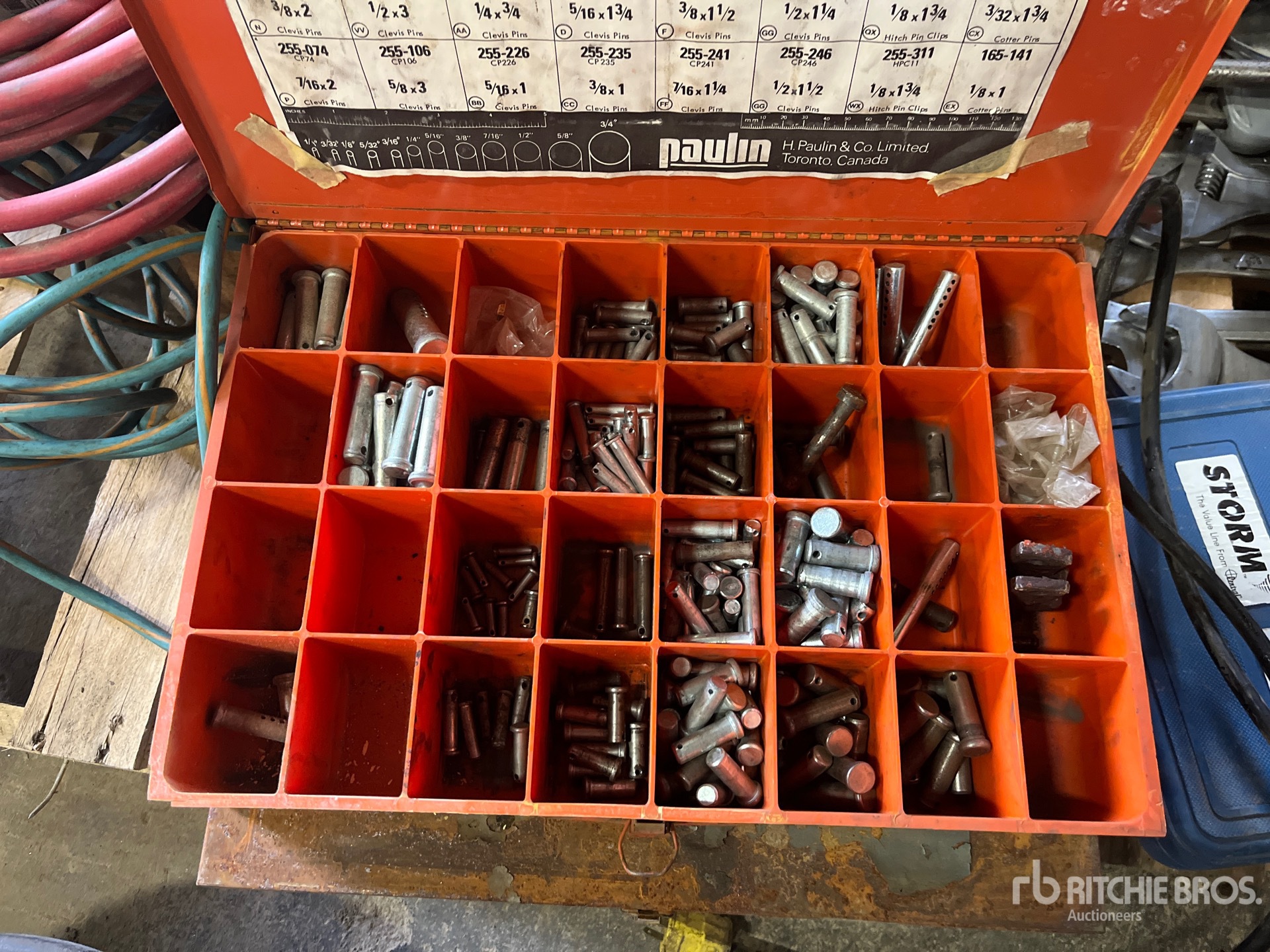 General Appearance with 