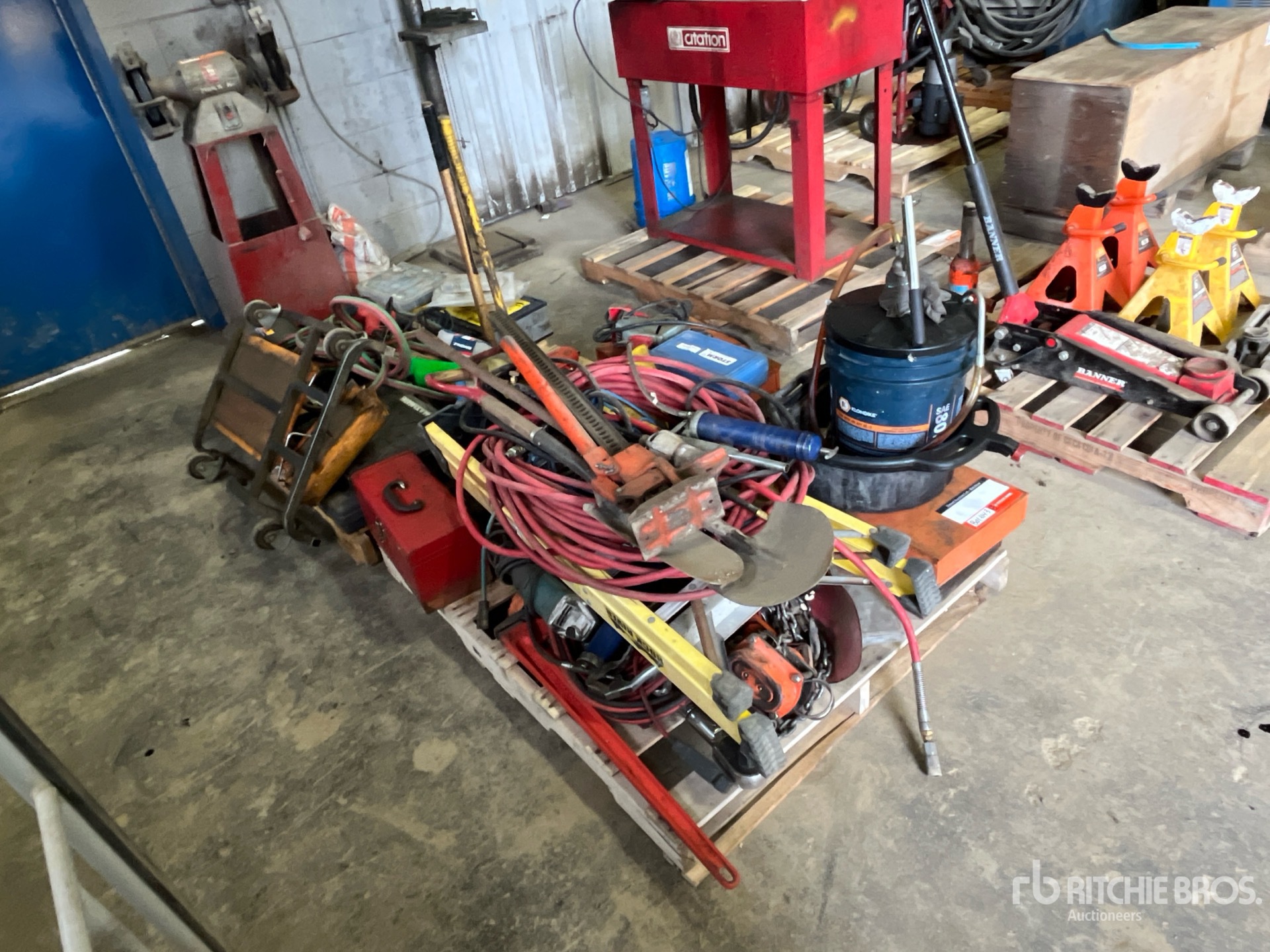 General Appearance with Foto, angolo anteriore destro