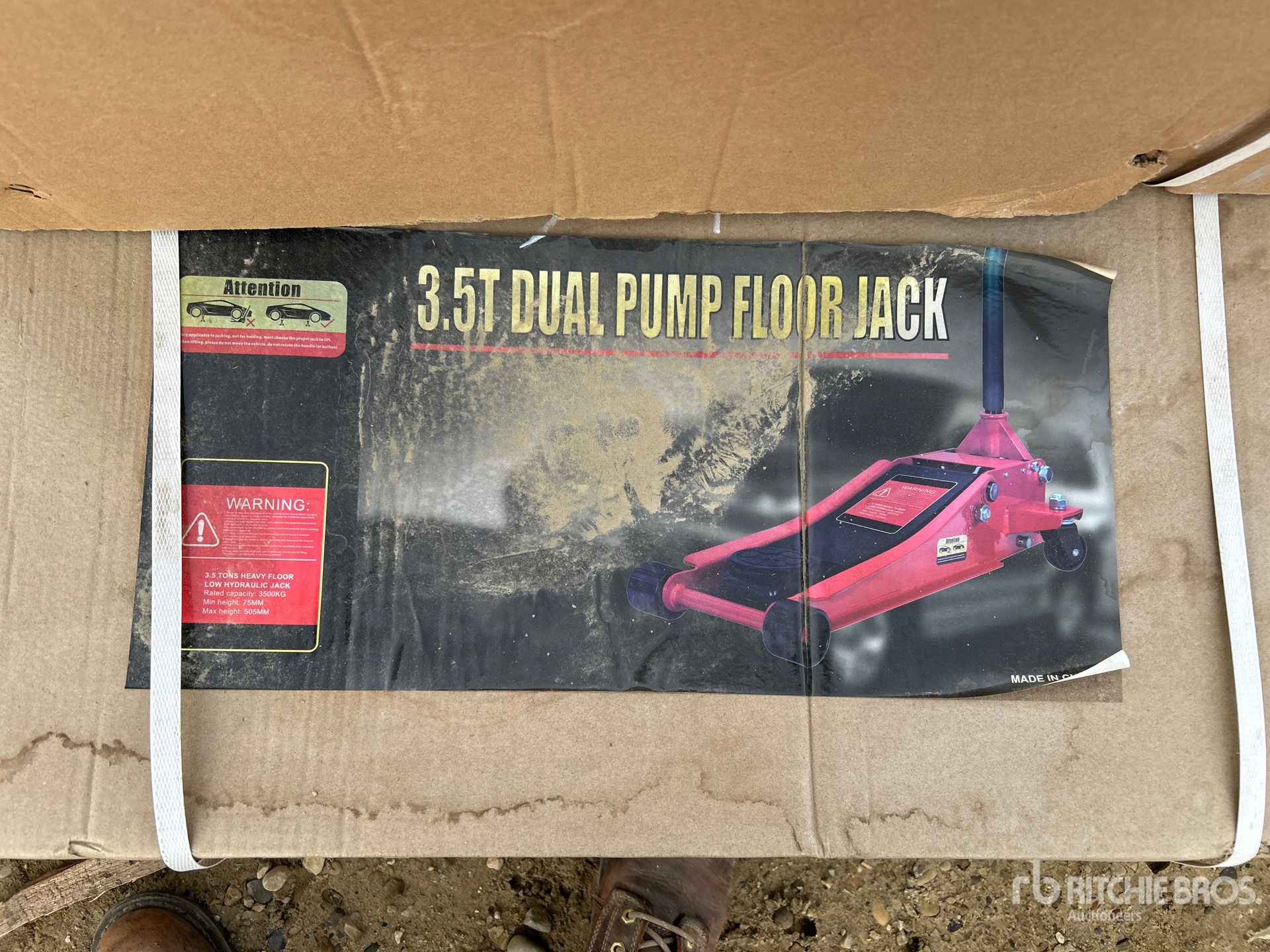 General Appearance with 