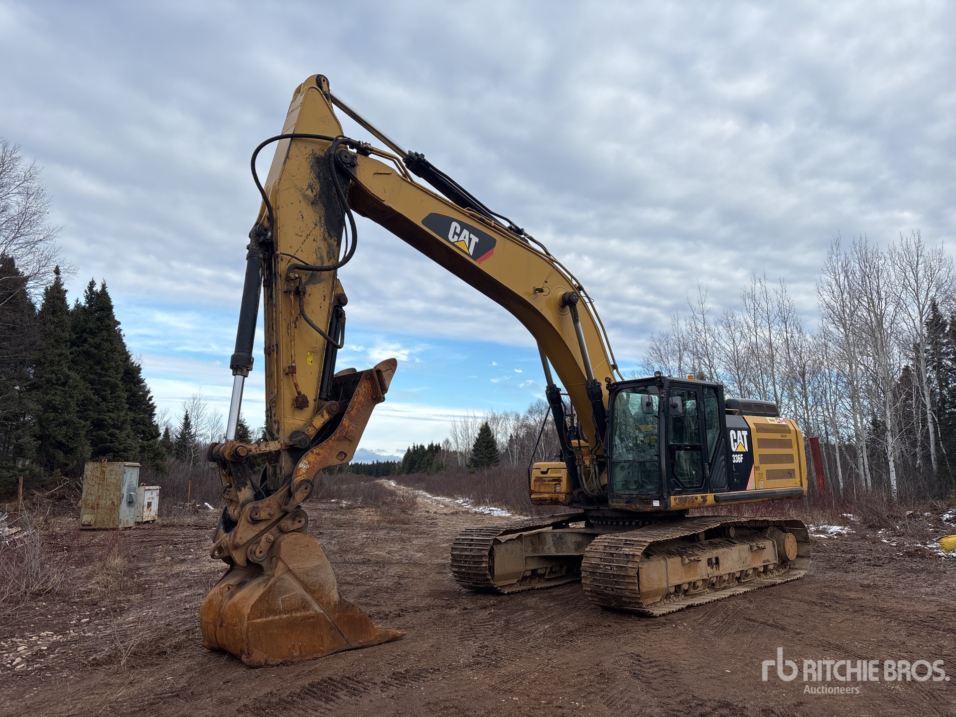 General Appearance with Featured Photo