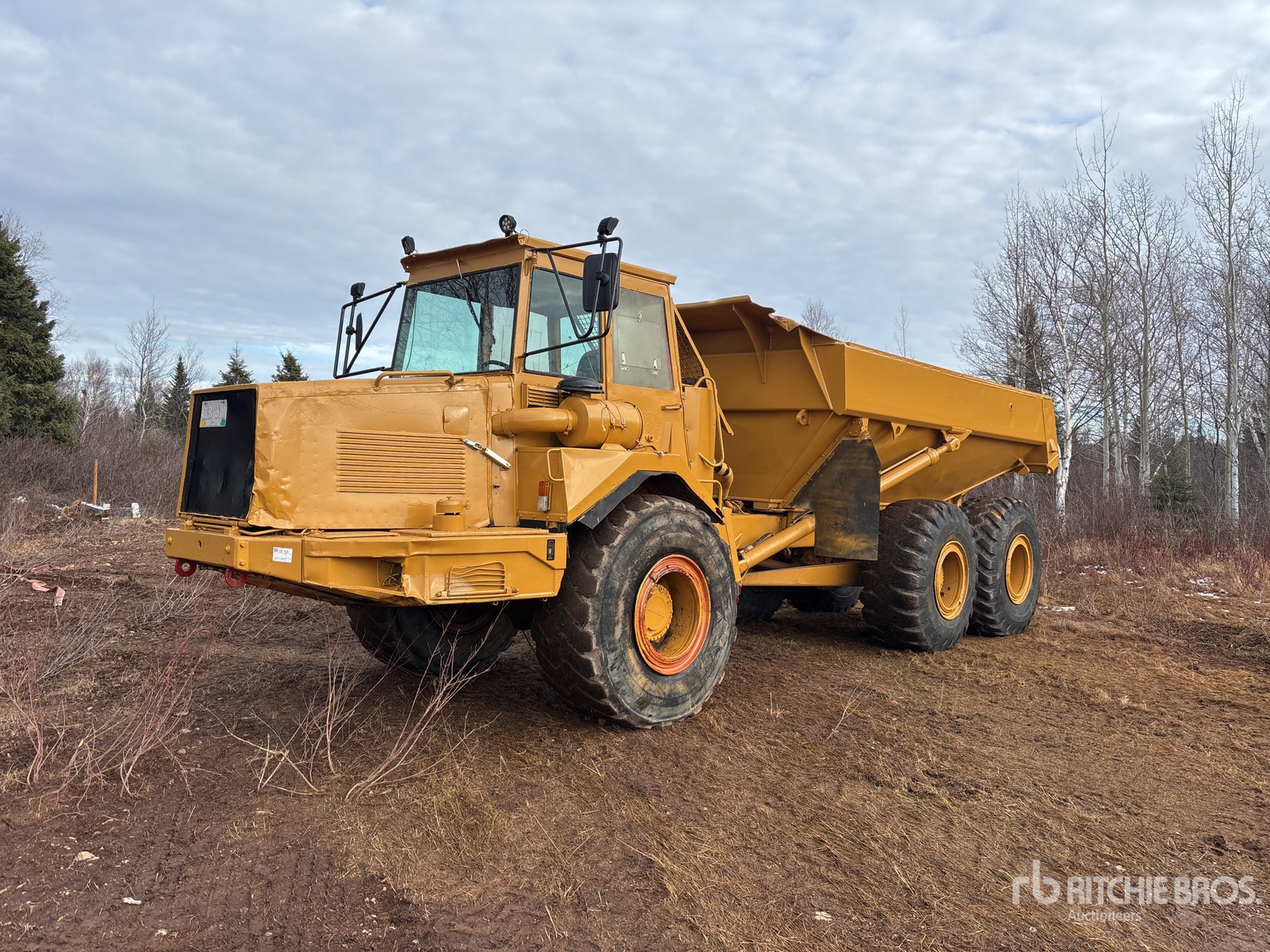 General Appearance with Featured Photo