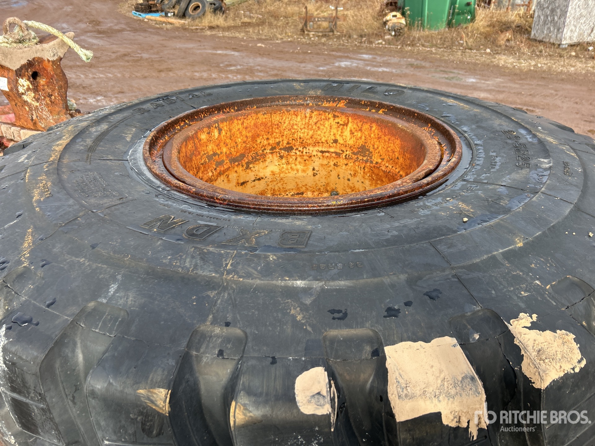 General Appearance with 