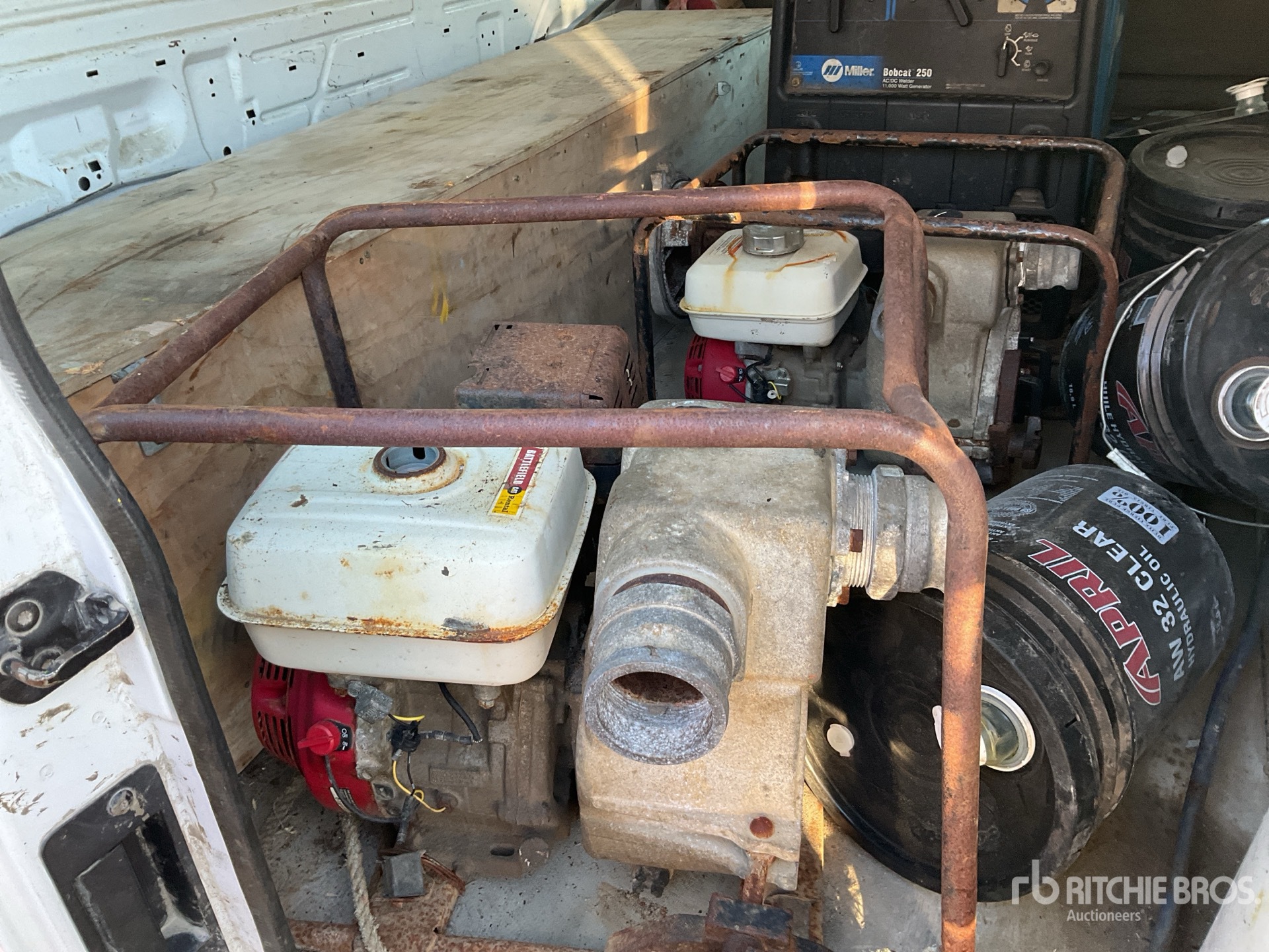 General Appearance with 