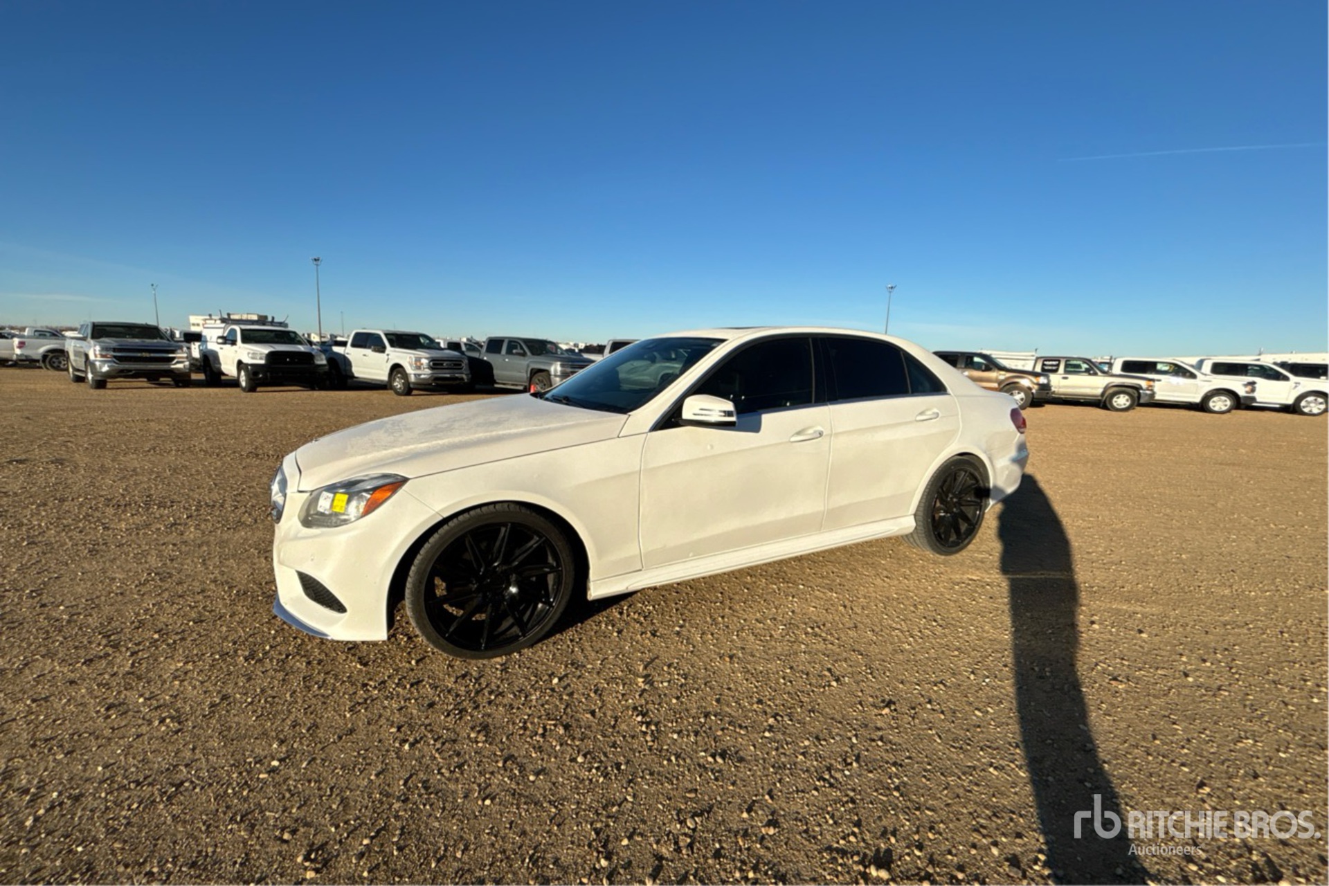 General Appearance with Foto, angolo anteriore sinistro