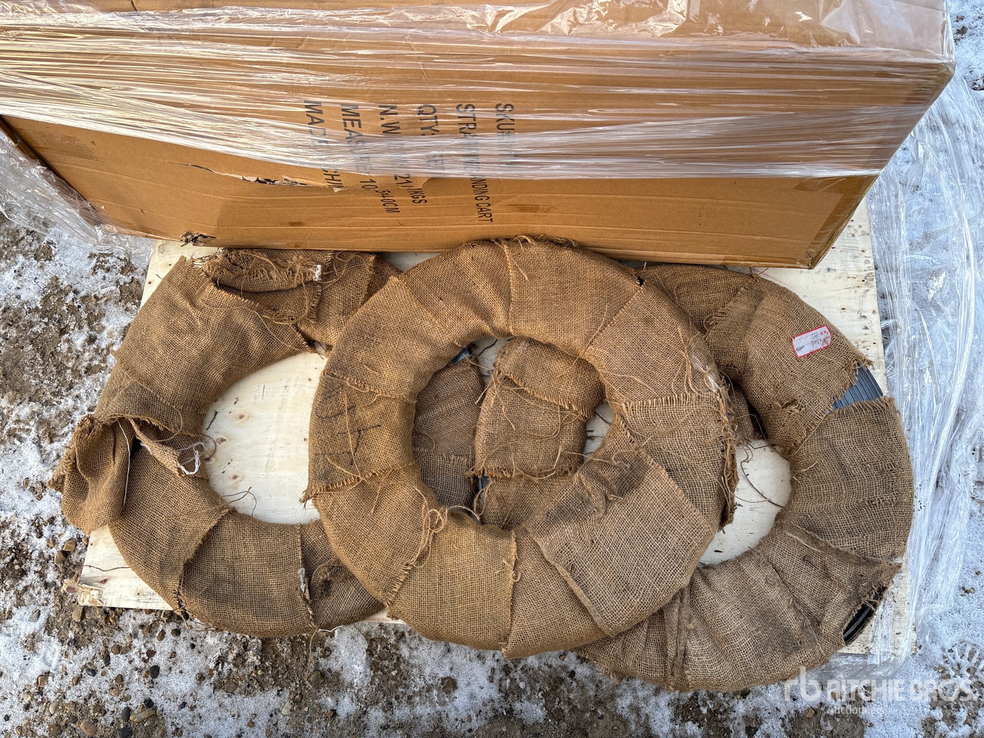 General Appearance with 